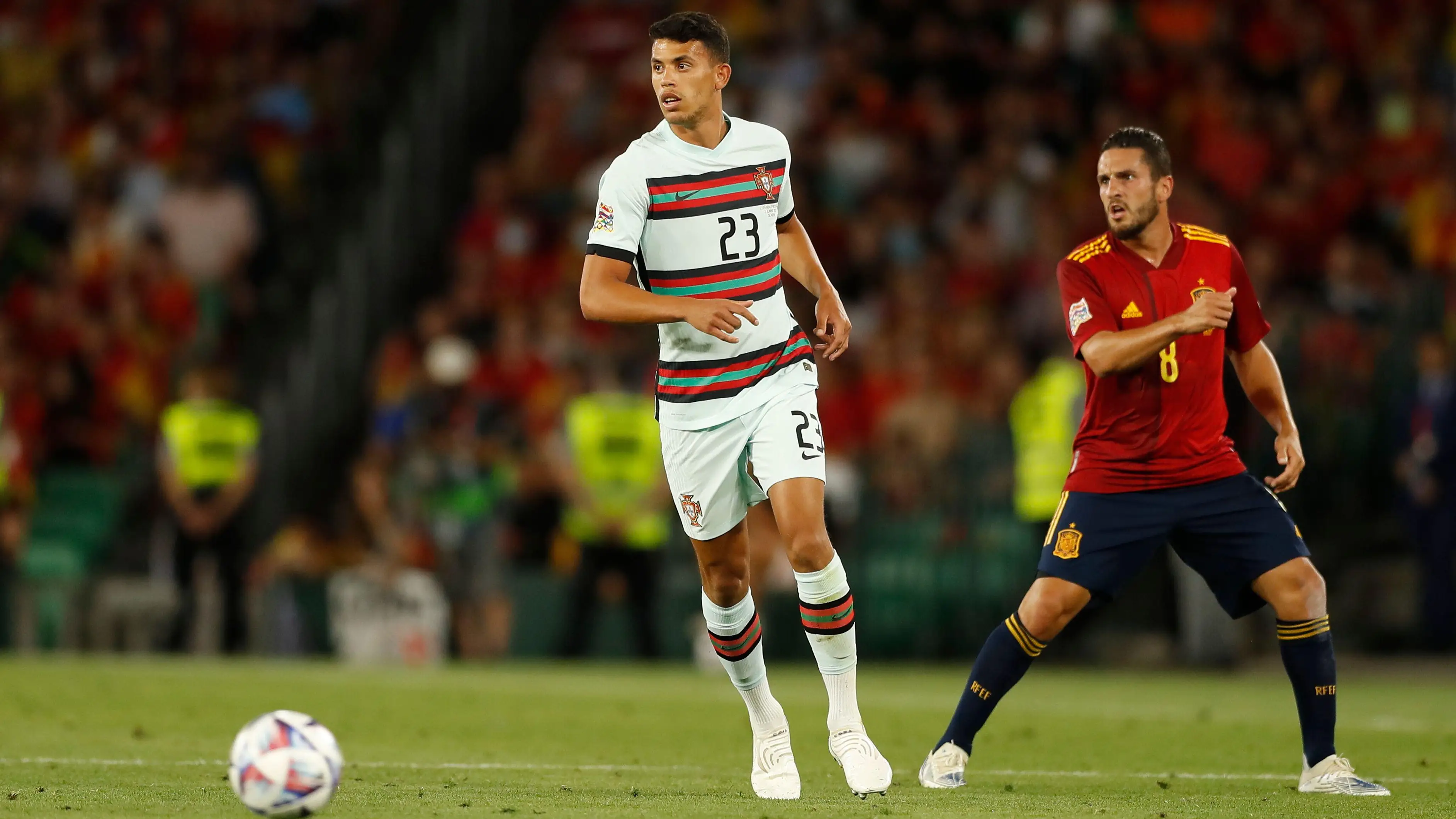 Aflo Co. Ltd. / Alamy