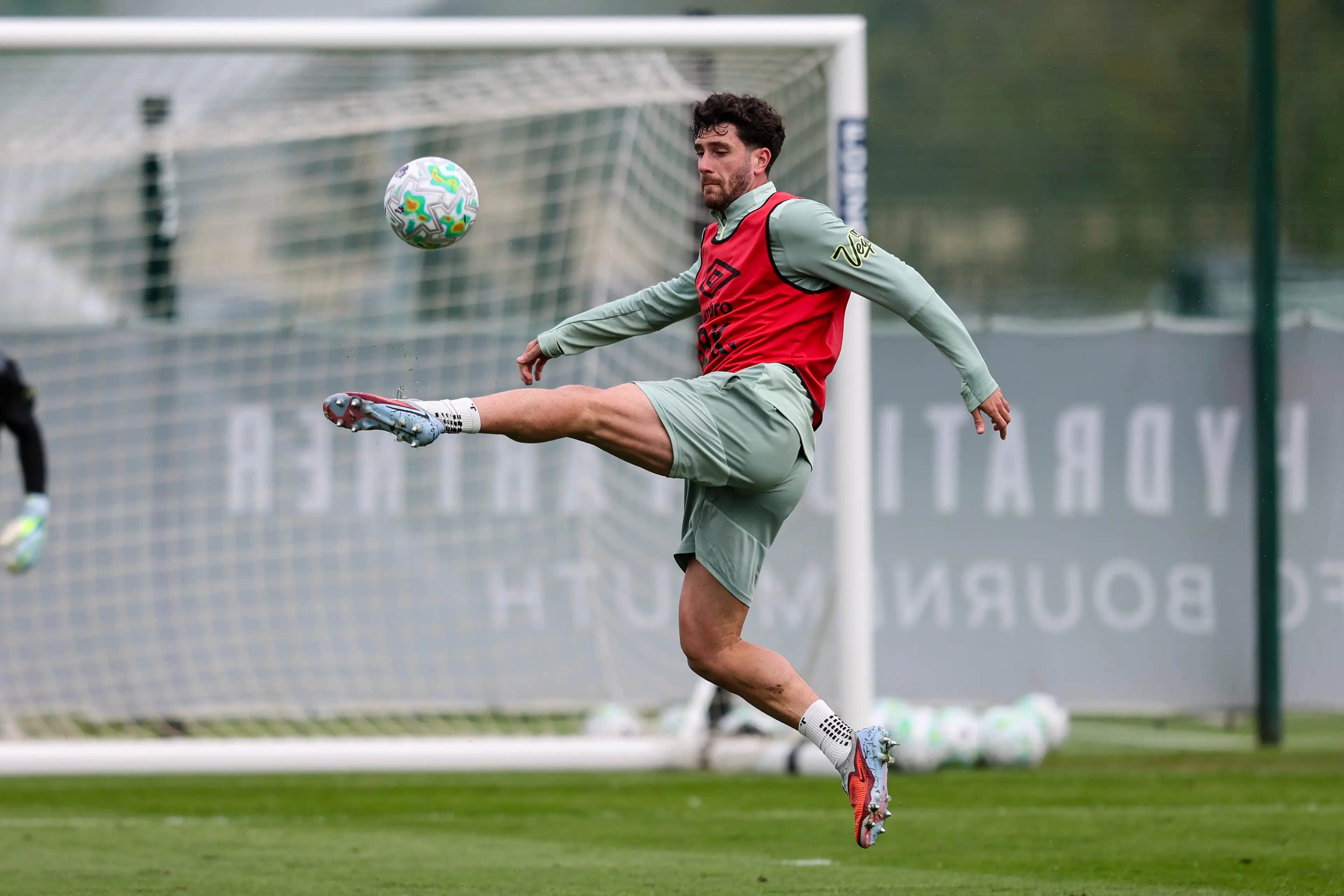 Senesi has been superb for Bournemouth this season. Image credit: Getty
