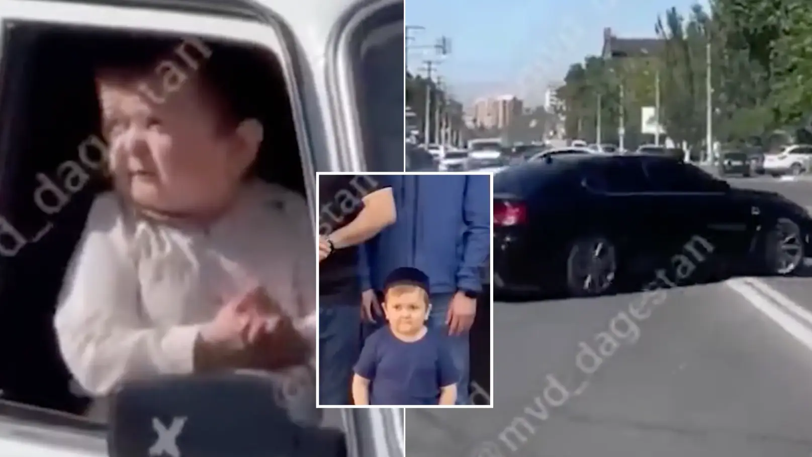 Twitter/Hasbulla_NFT.  Instagram/hasbulla.hushetskiy.