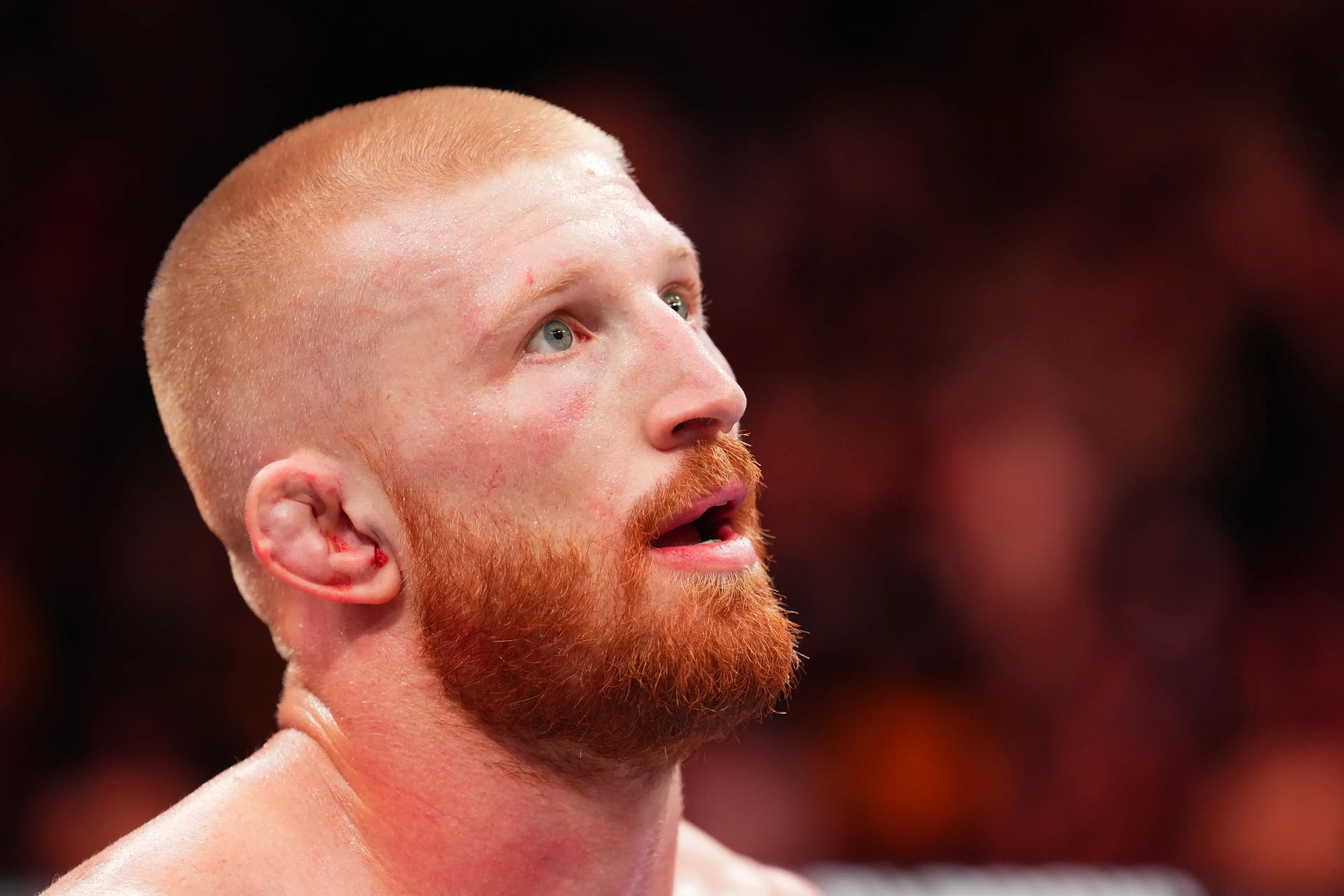 Bo Nickal returns to action at UFC 322 after losing to Reinier de Ridder. Image: Getty 