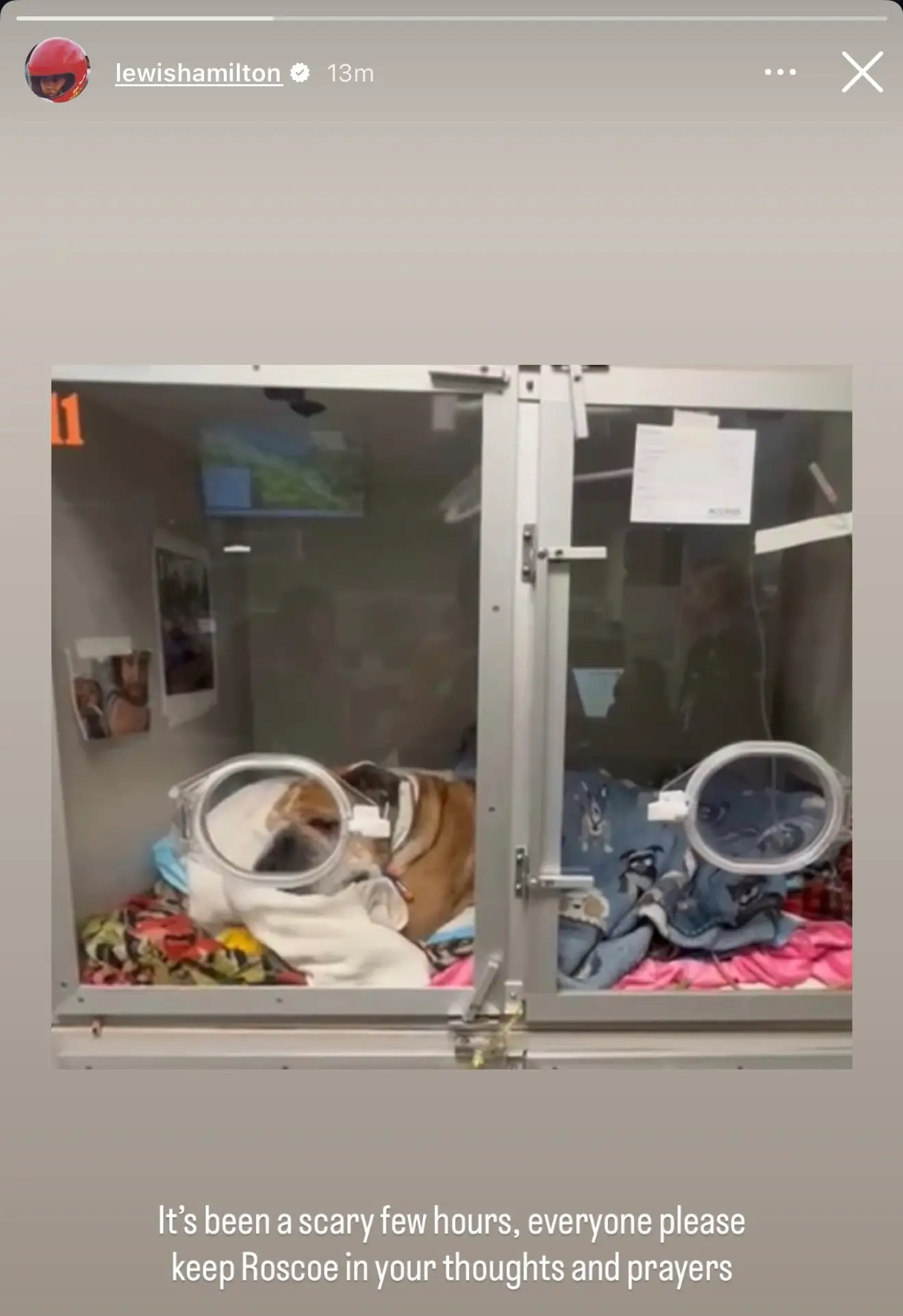 Image: X/@lewishamilton