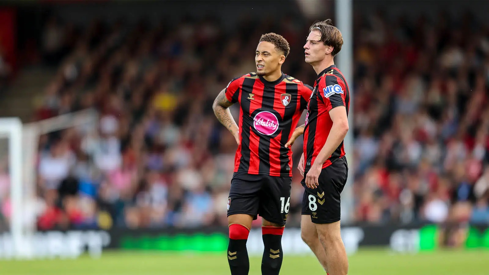 Marcus Tavernier and Alex Scott have been two of Bournemouth's key players this season (Image: Getty)