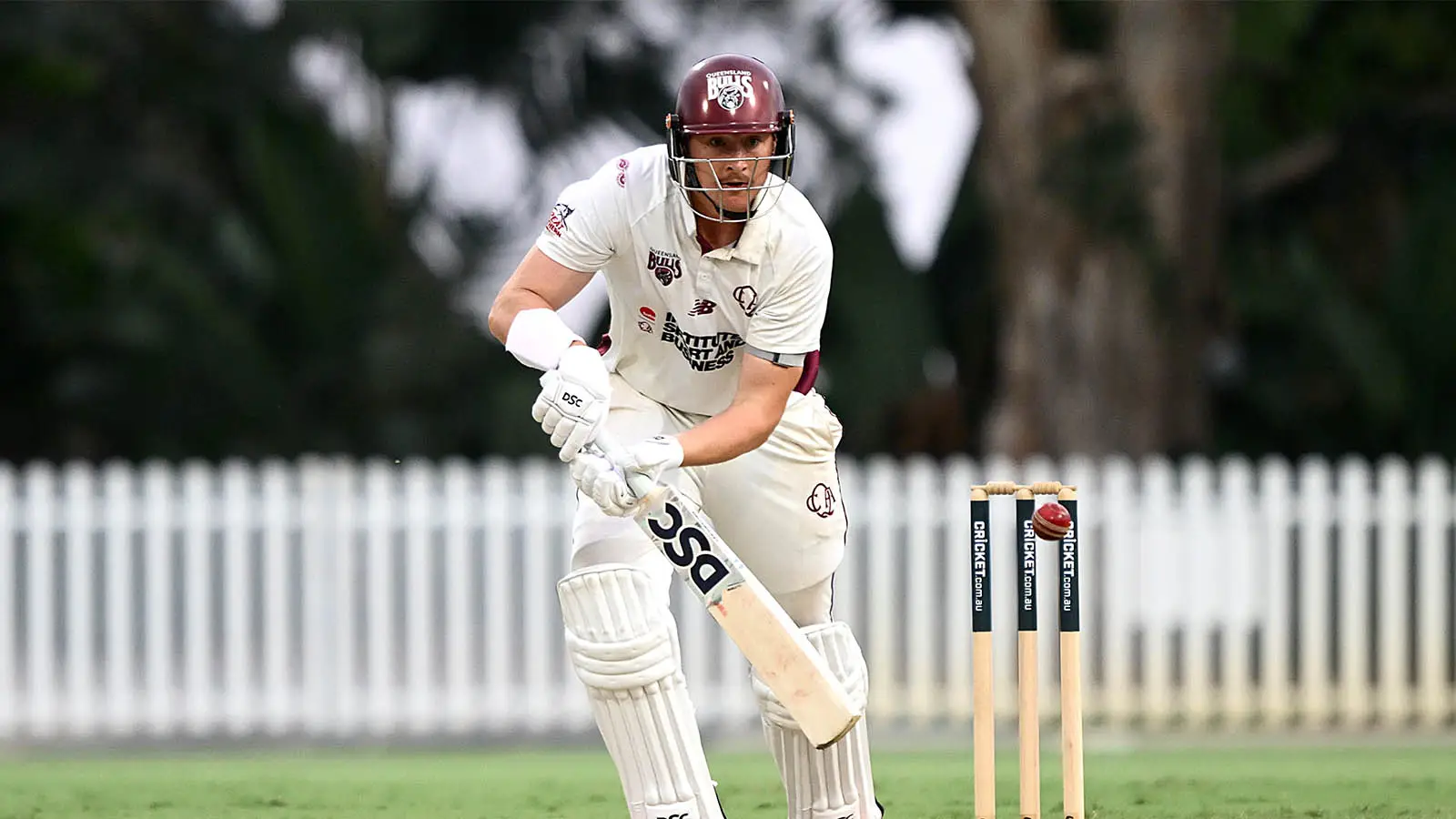 Matt Renshaw has been tipped for an Australia Test recall (Image: Getty)