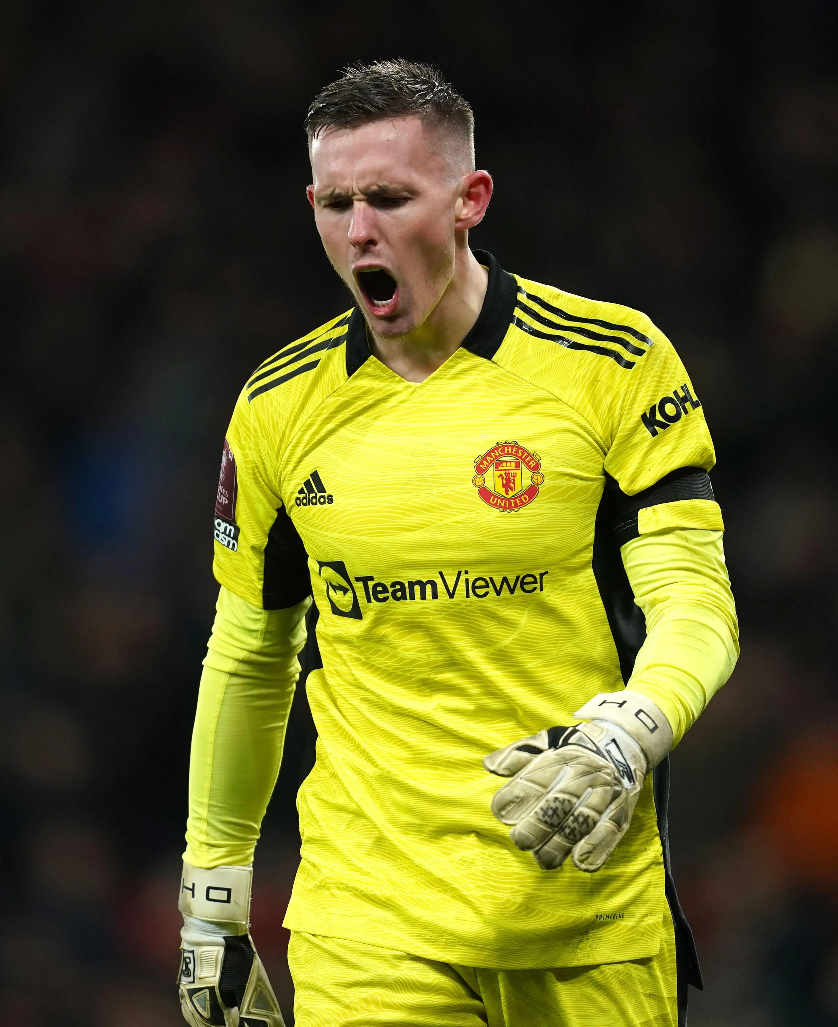 Dean Henderson was to join Newcastle on loan as a part of a swap deal involving Dubravka (Image: Alamy)