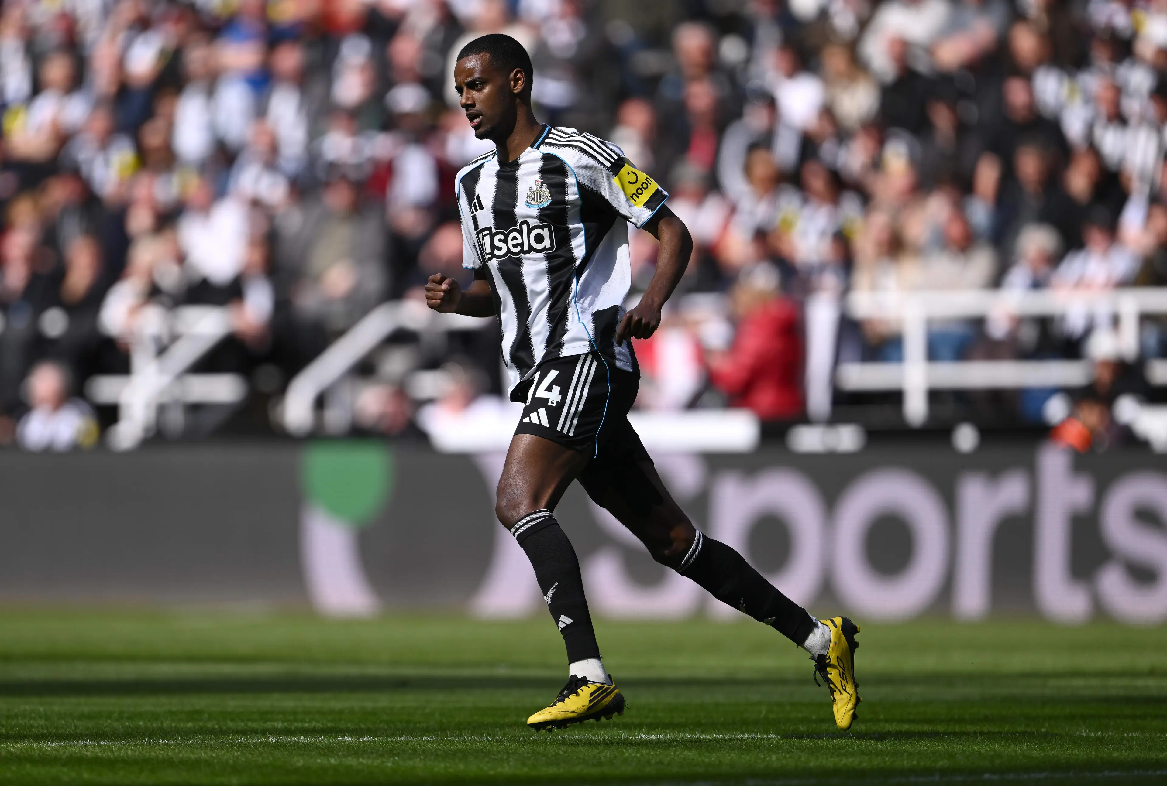 Alexander Isak has yet to feature for Newcastle United this season. Image: Getty