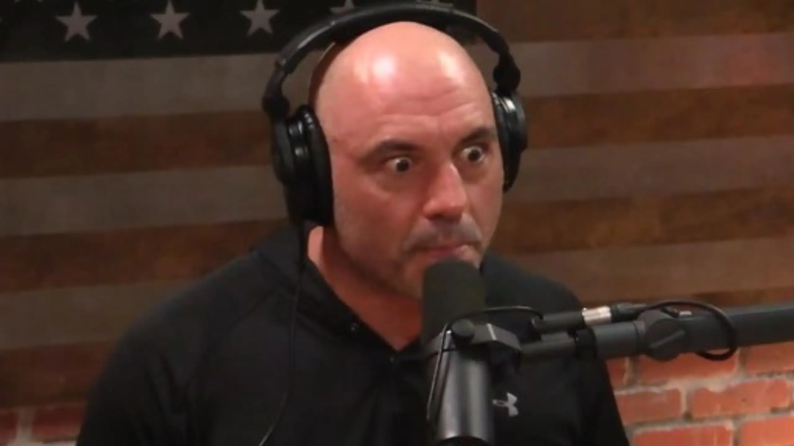 Joe Rogan Experience