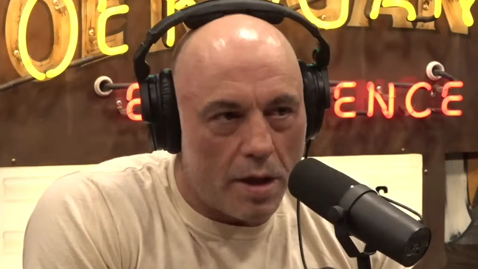 The Joe Rogan Experience 