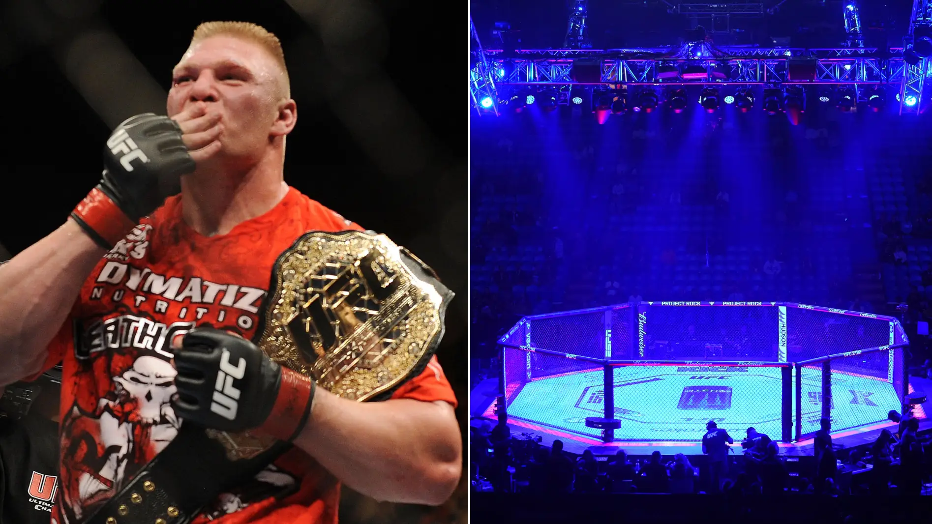 Study reveals the most fearsome heavyweight fighters in UFC history as Brock Lesnar misses out on top spot