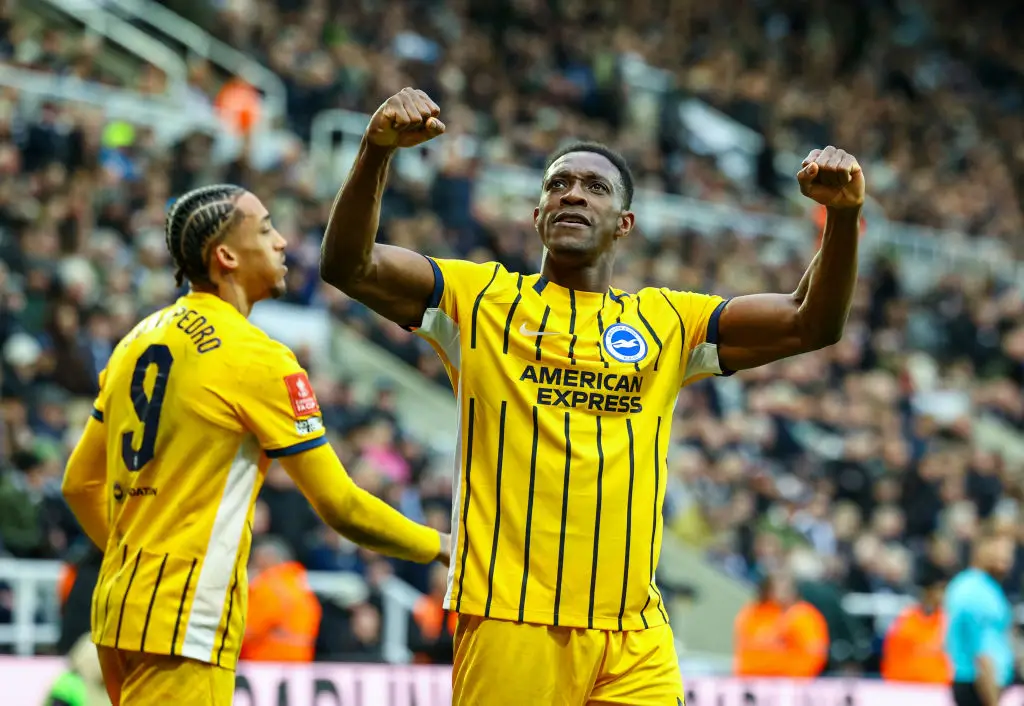 Danny Welbeck celebrates after scoring the winning goal in Brighton's 2-1 victory over Newcastle (Image: Getty)
