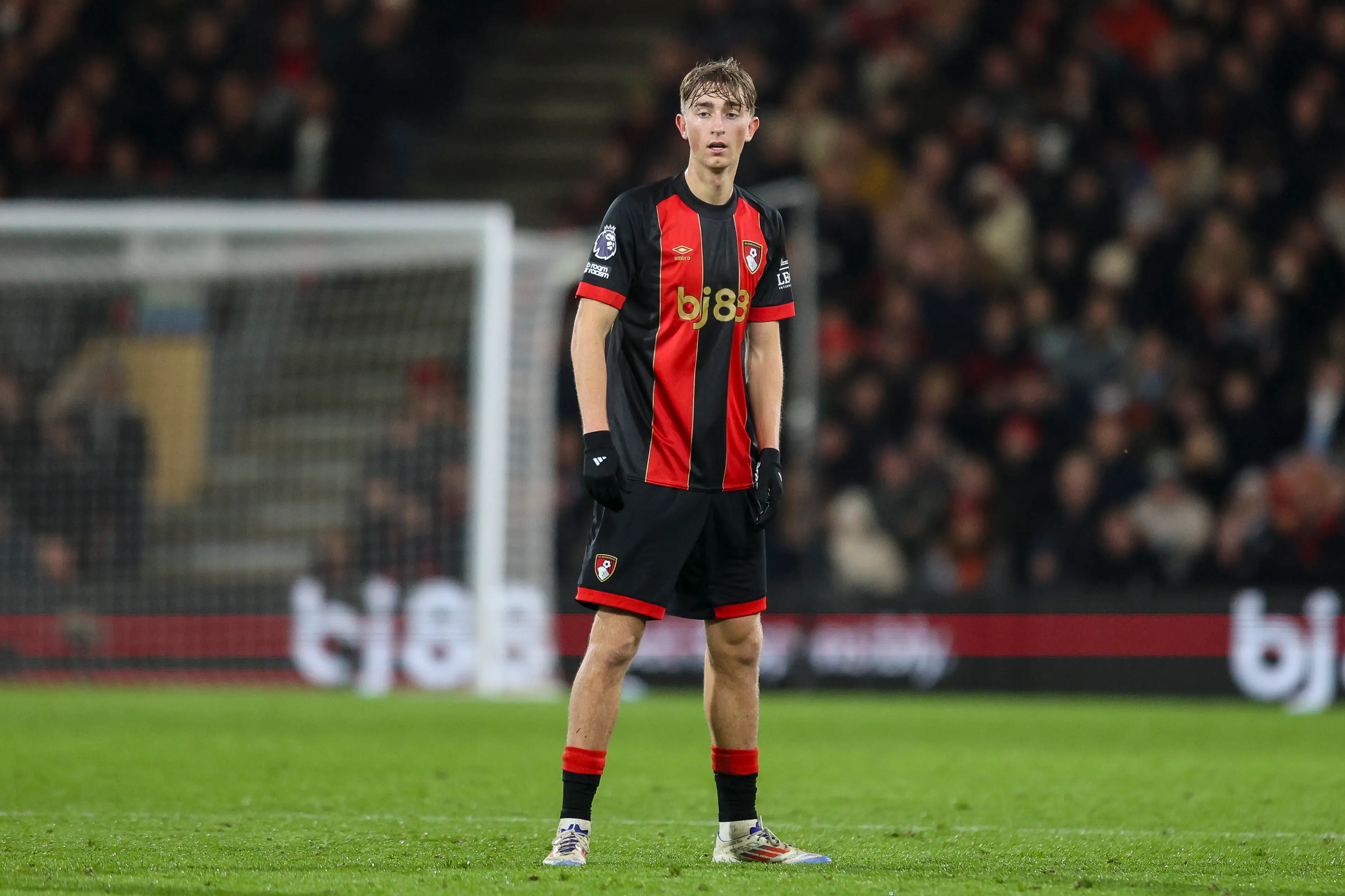 Dean Huijsen in action for Bournemouth (Image: Getty)