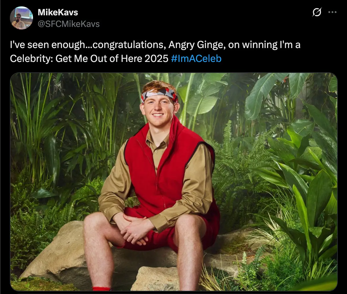 Image: Twitter/@SFCMikeKavs