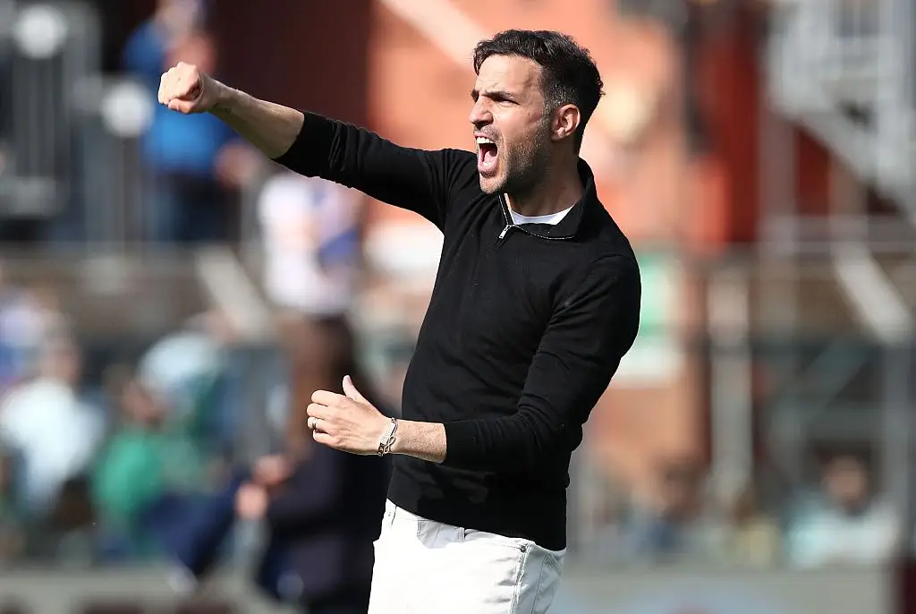 Fabregas has impressed as Como manager. (Image: Marco Luzzani/Getty Images)