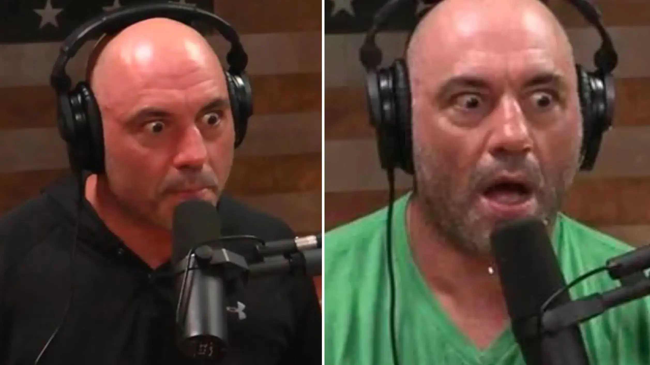 The Joe Rogan Experience