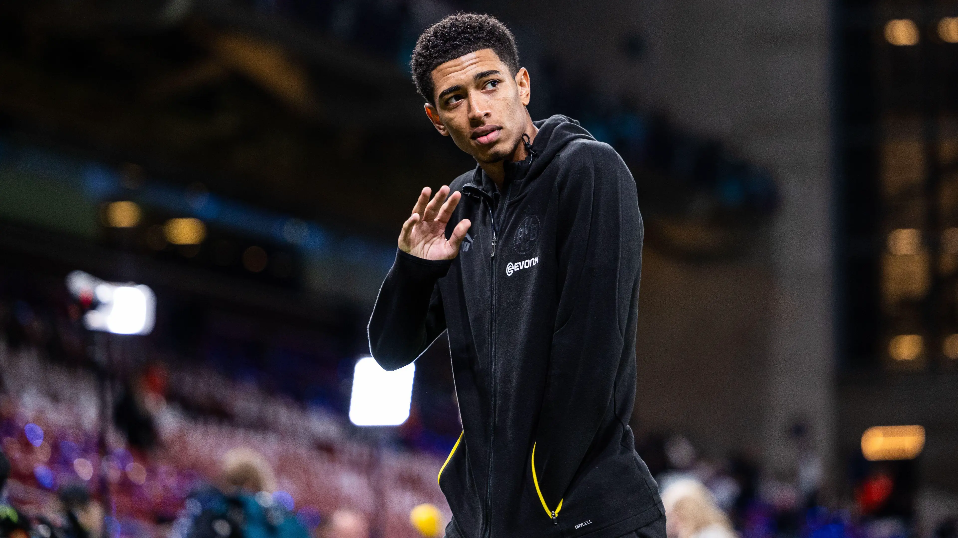 Gonzales Photo / Alamy