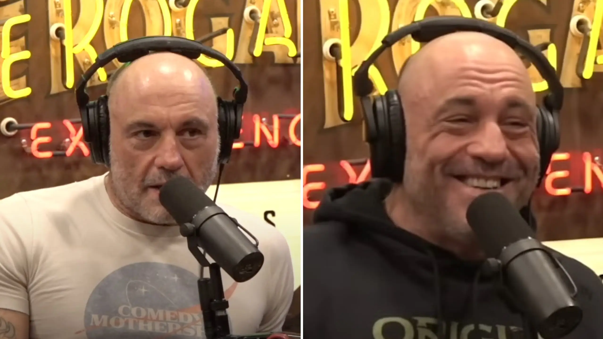 Joe Rogan Experience