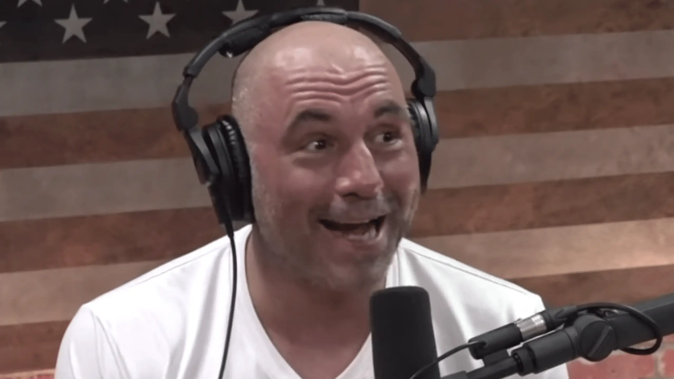 Joe Rogan Experience