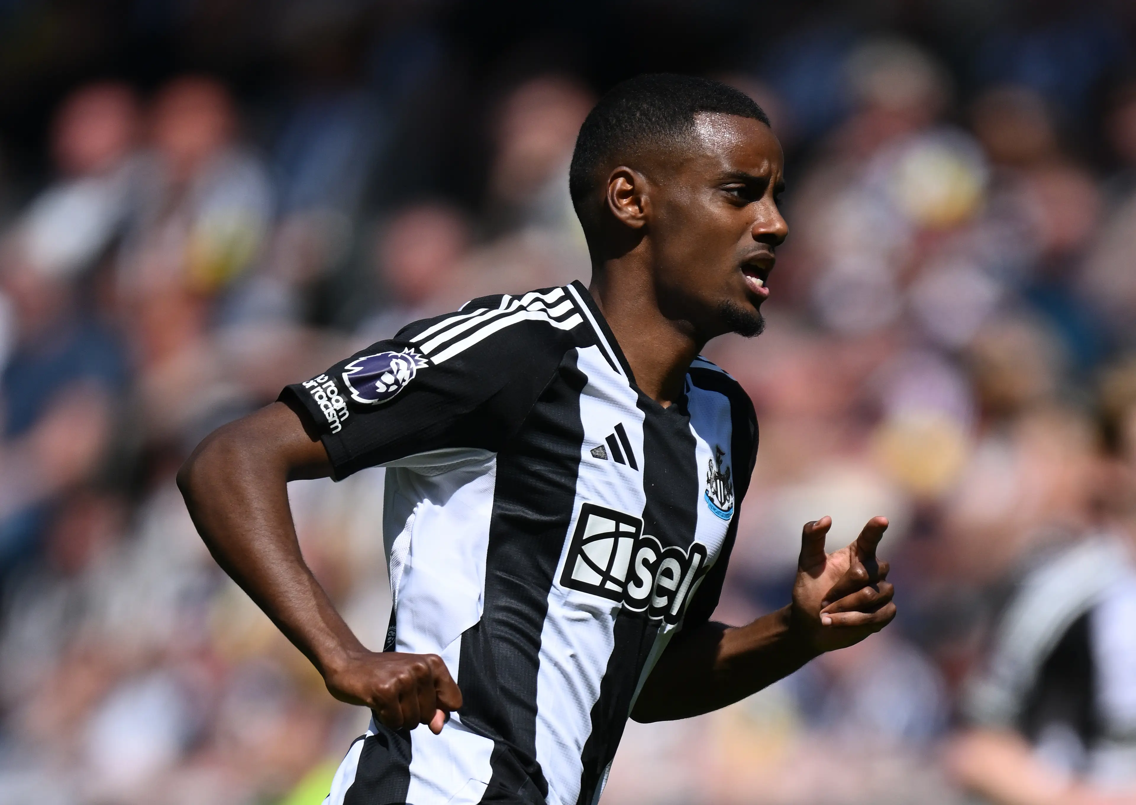Alexander Isak wants to leave Newcastle United this summer. (Image: Getty)