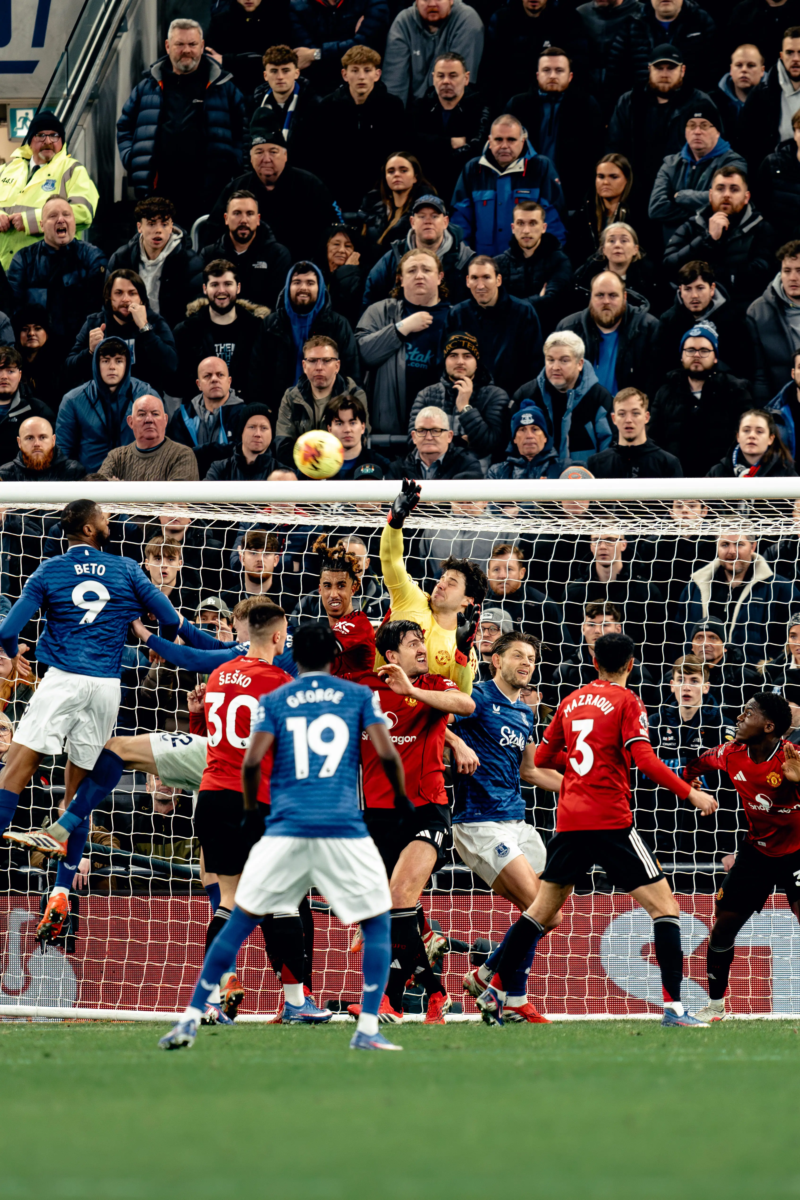 Lammens kept his sixth clean sheet against Everton. Image: Getty