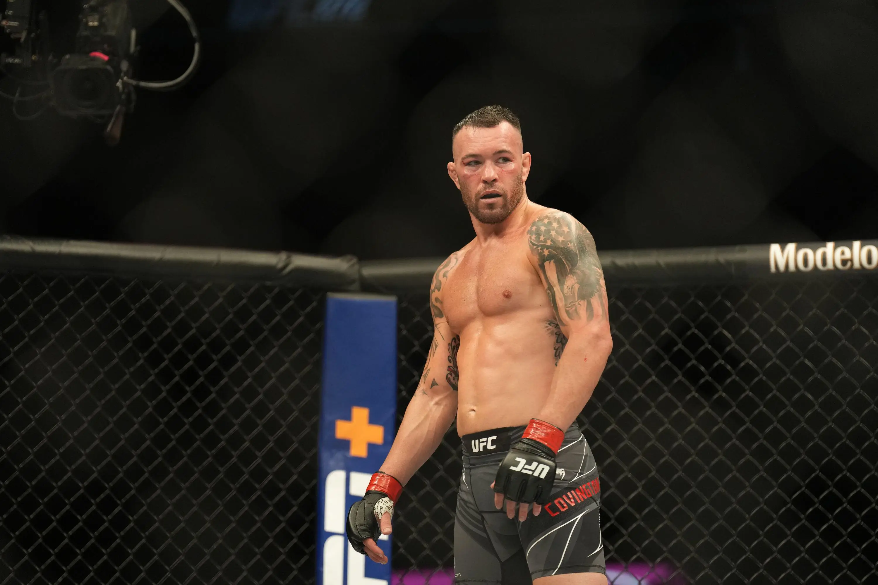 Colby Covington in the Octagon for his bout against Jorge Masvidal. Image: Alamy