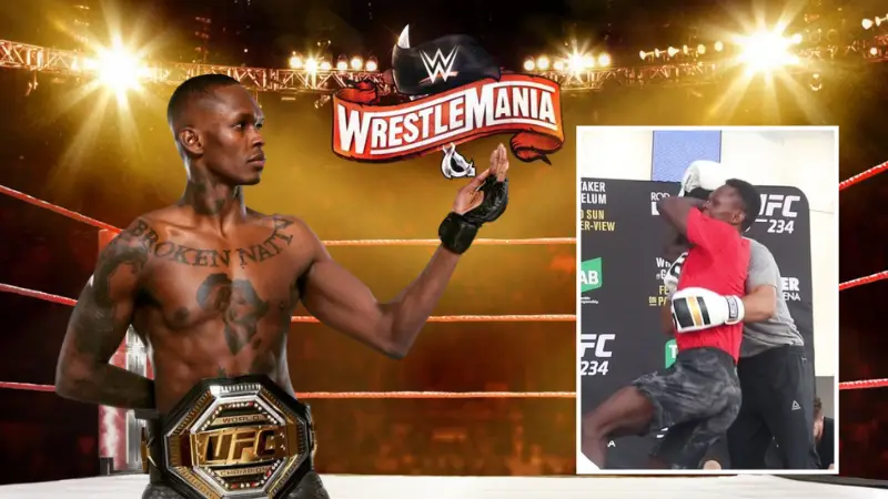 UFC & WWE