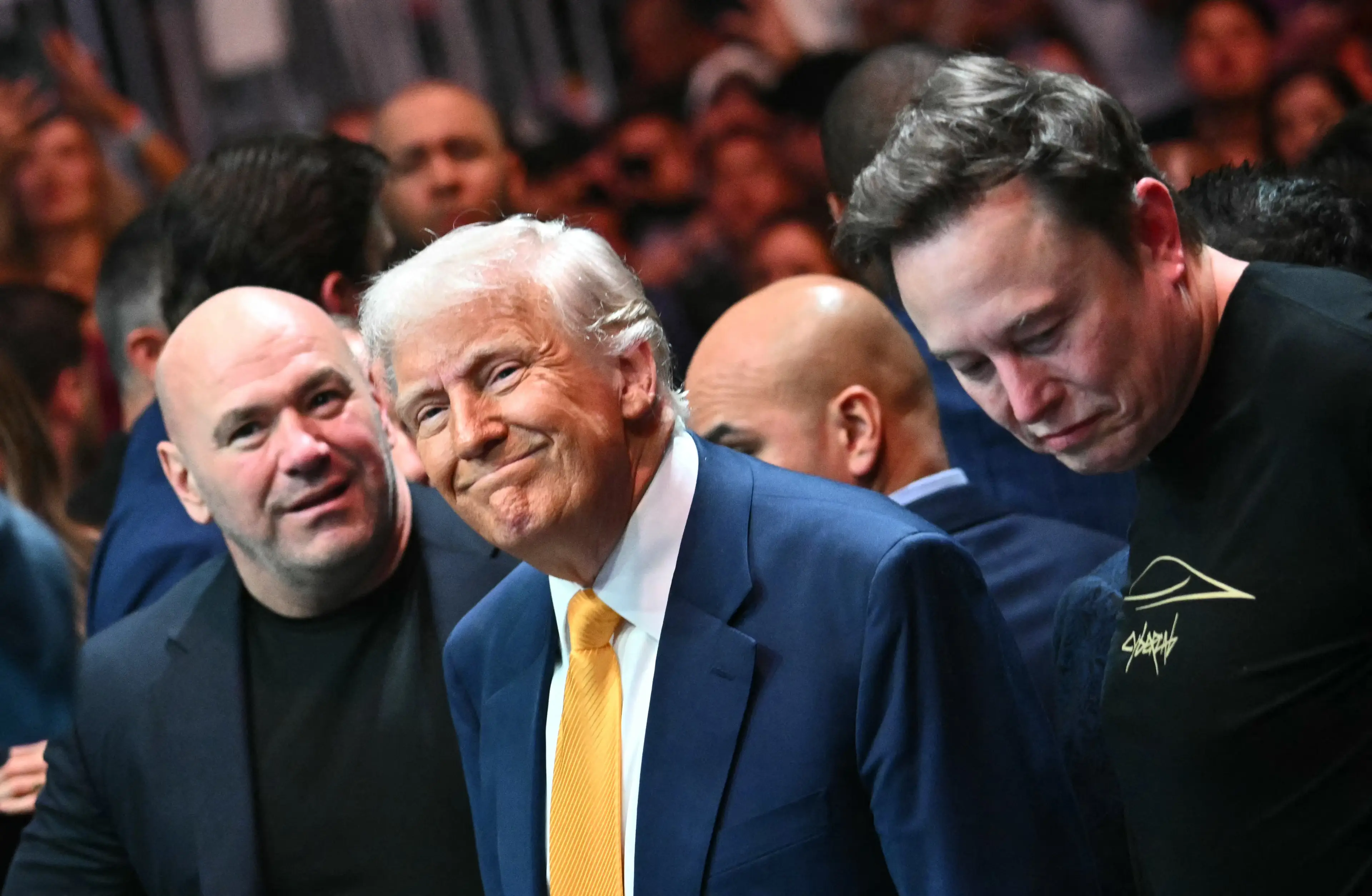 Elon Musk watched UFC 314 with US president Donald Trump earlier this month. Image: Getty