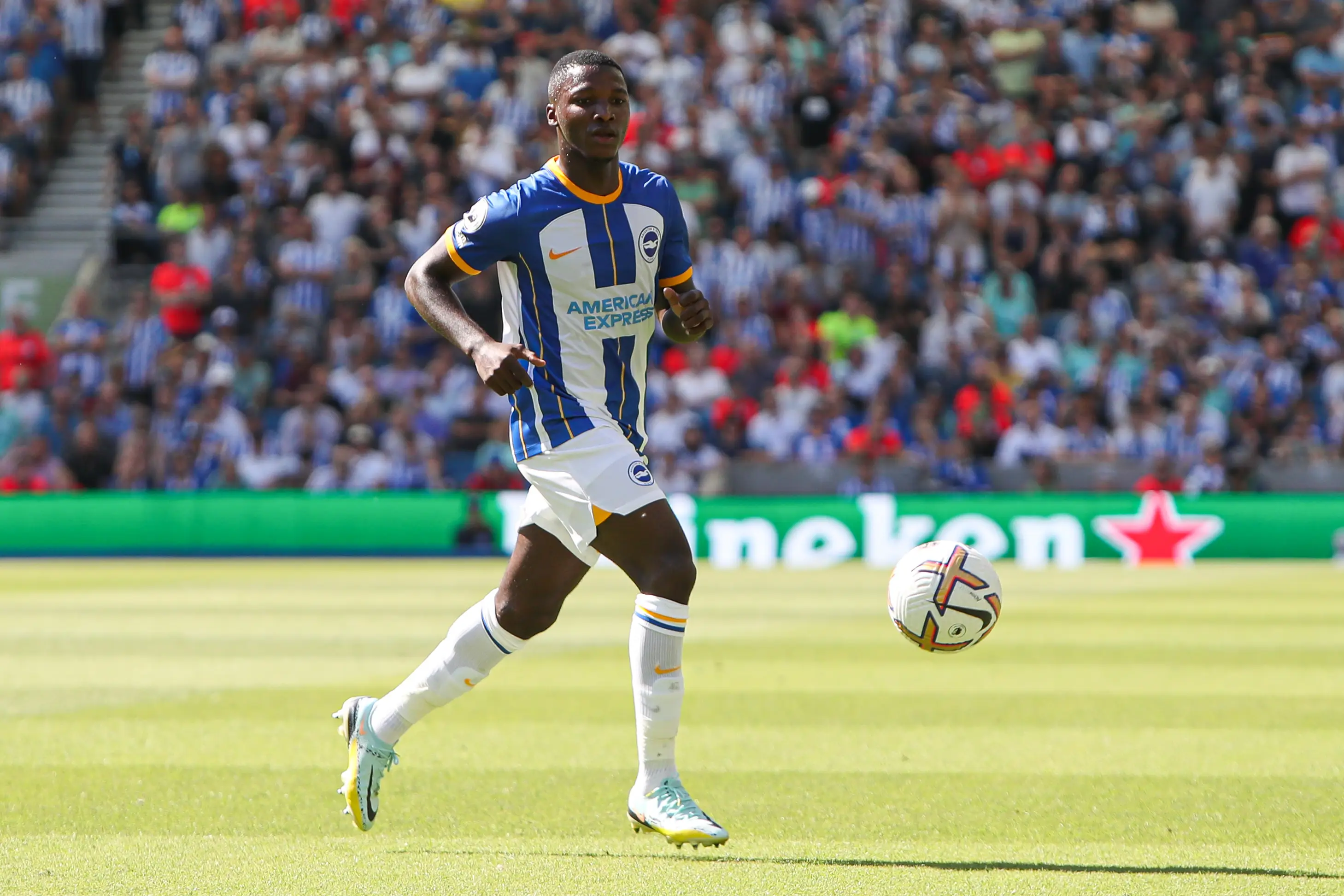 Brighton midfielder Moises Caicedo