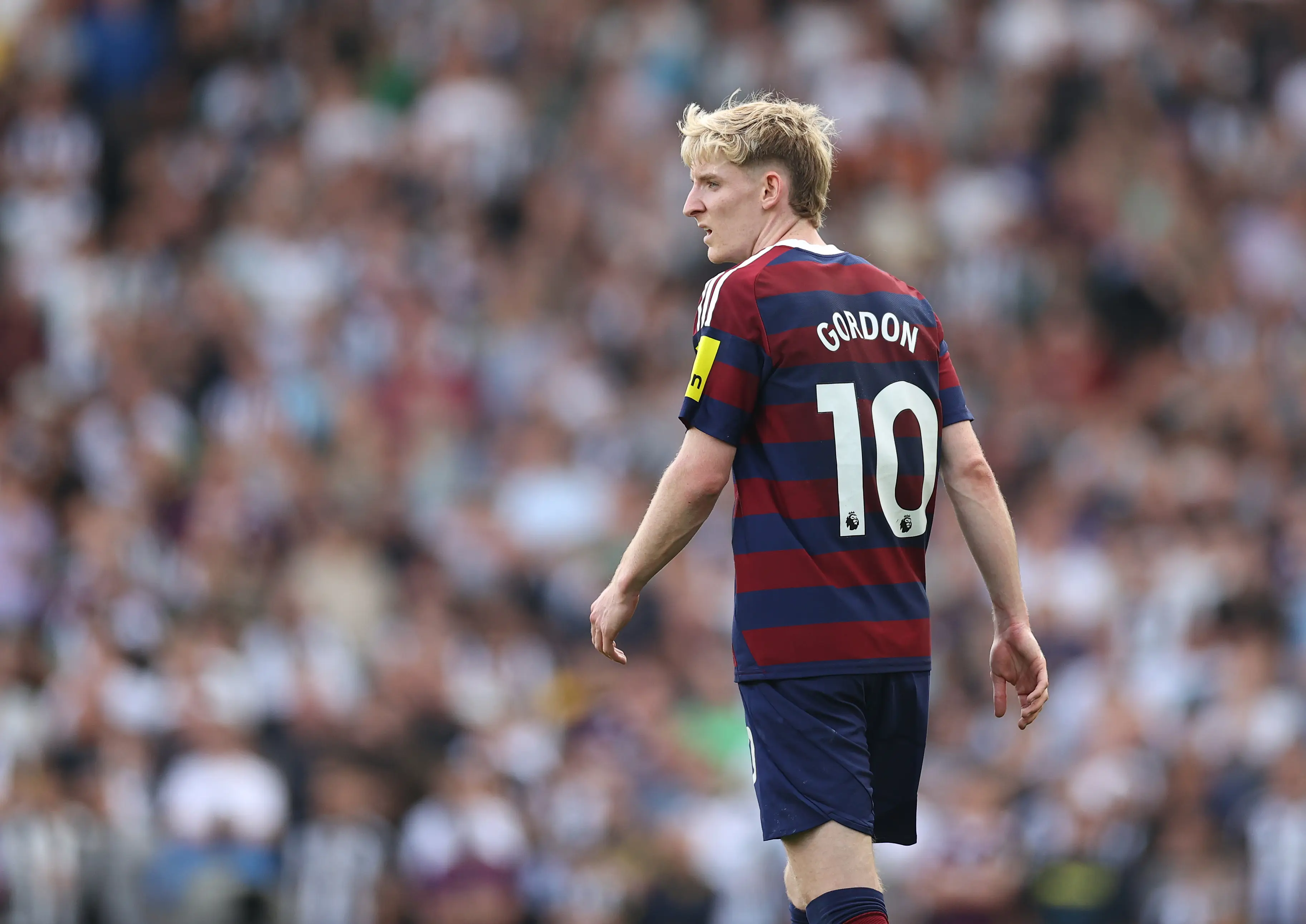 Gordon looks set to stay at Newcastle (Getty)