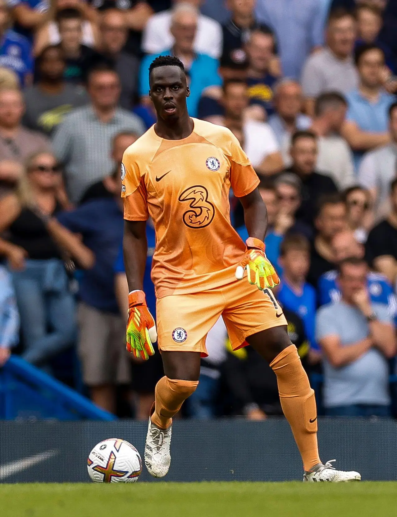 Edouard Mendy for Chelsea. (Alamy)