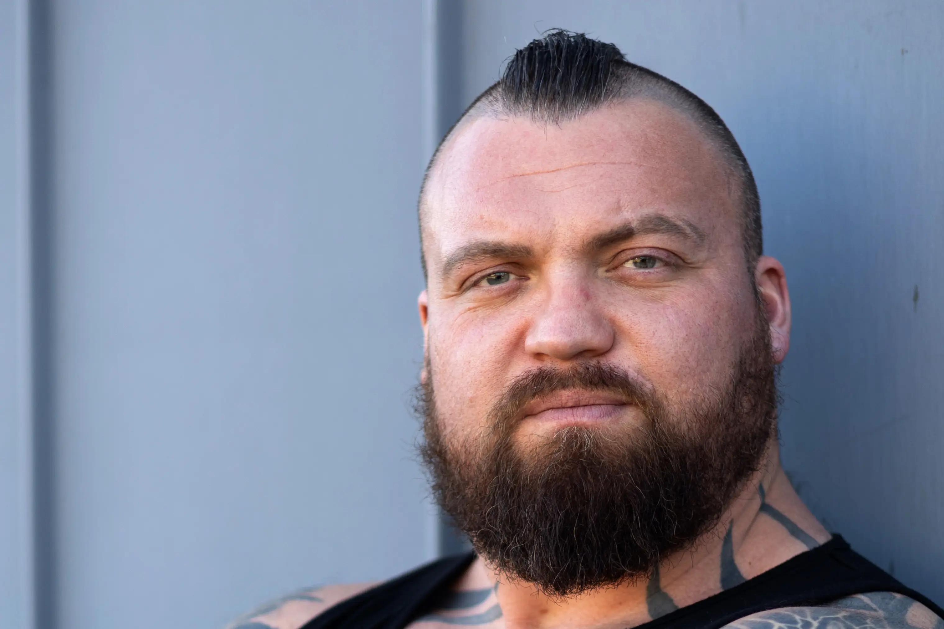 Hall is interested in a fight. (