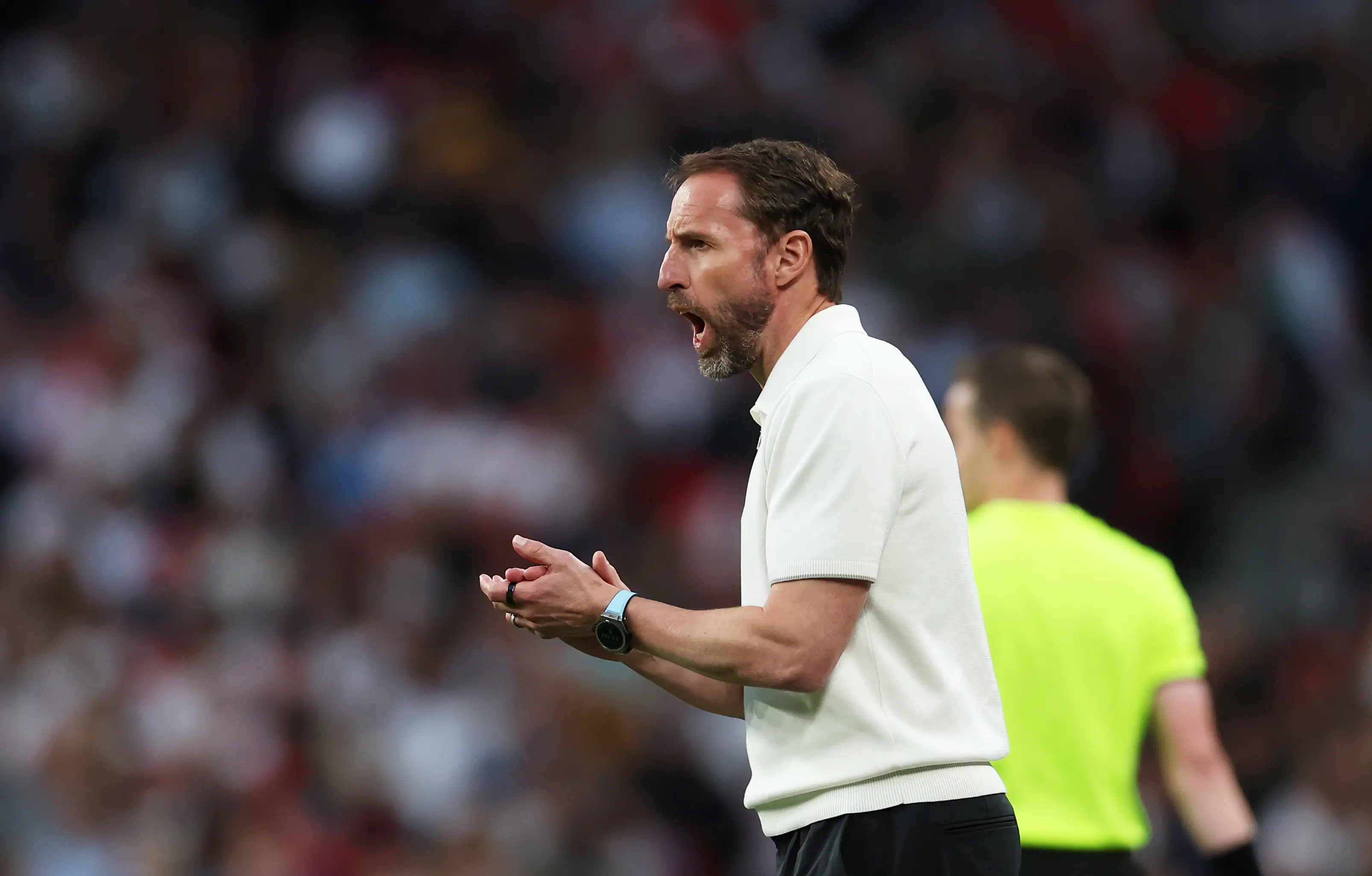 England boss Gareth Southgate. (