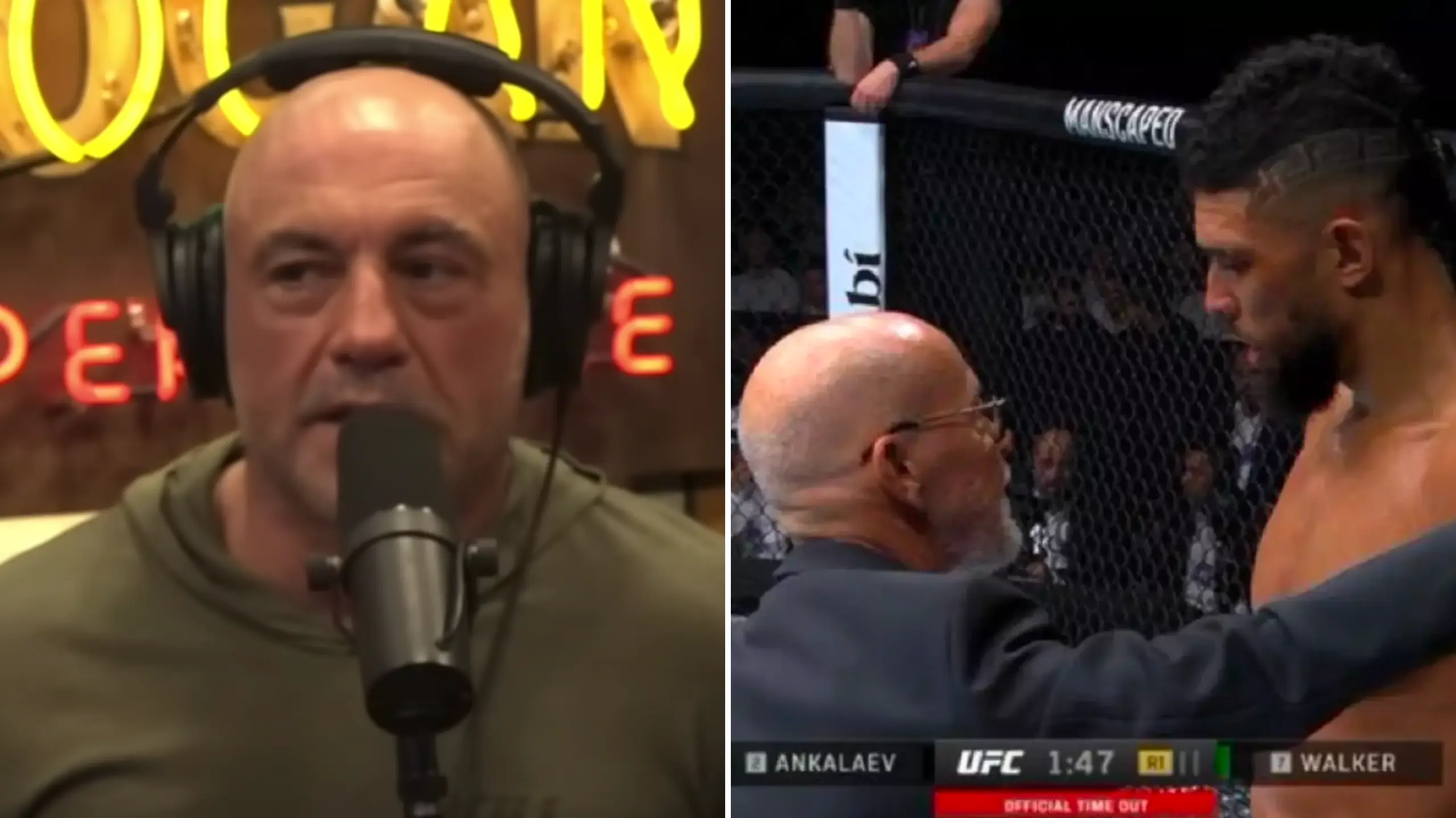 Joe Rogan/UFC
