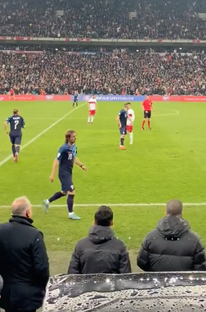 Image credit: TikTok/eminsolgunn