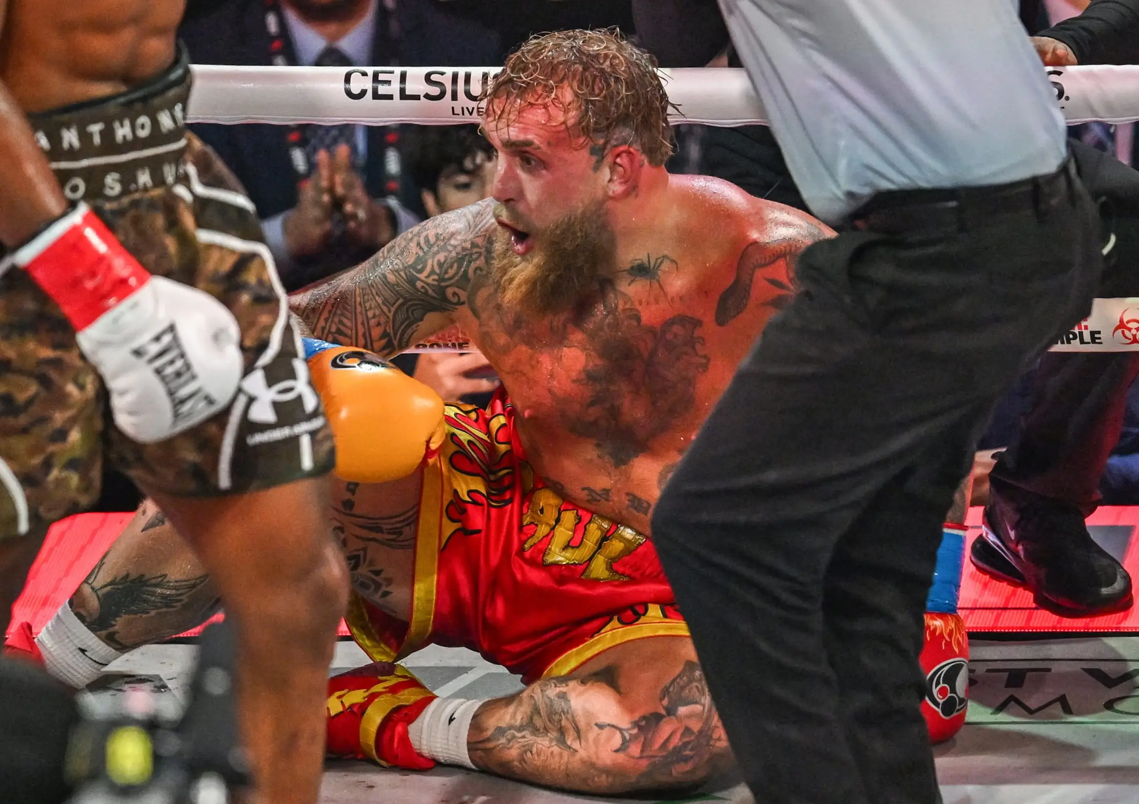 Paul was knocked out in round six by Joshua (Image: Getty)