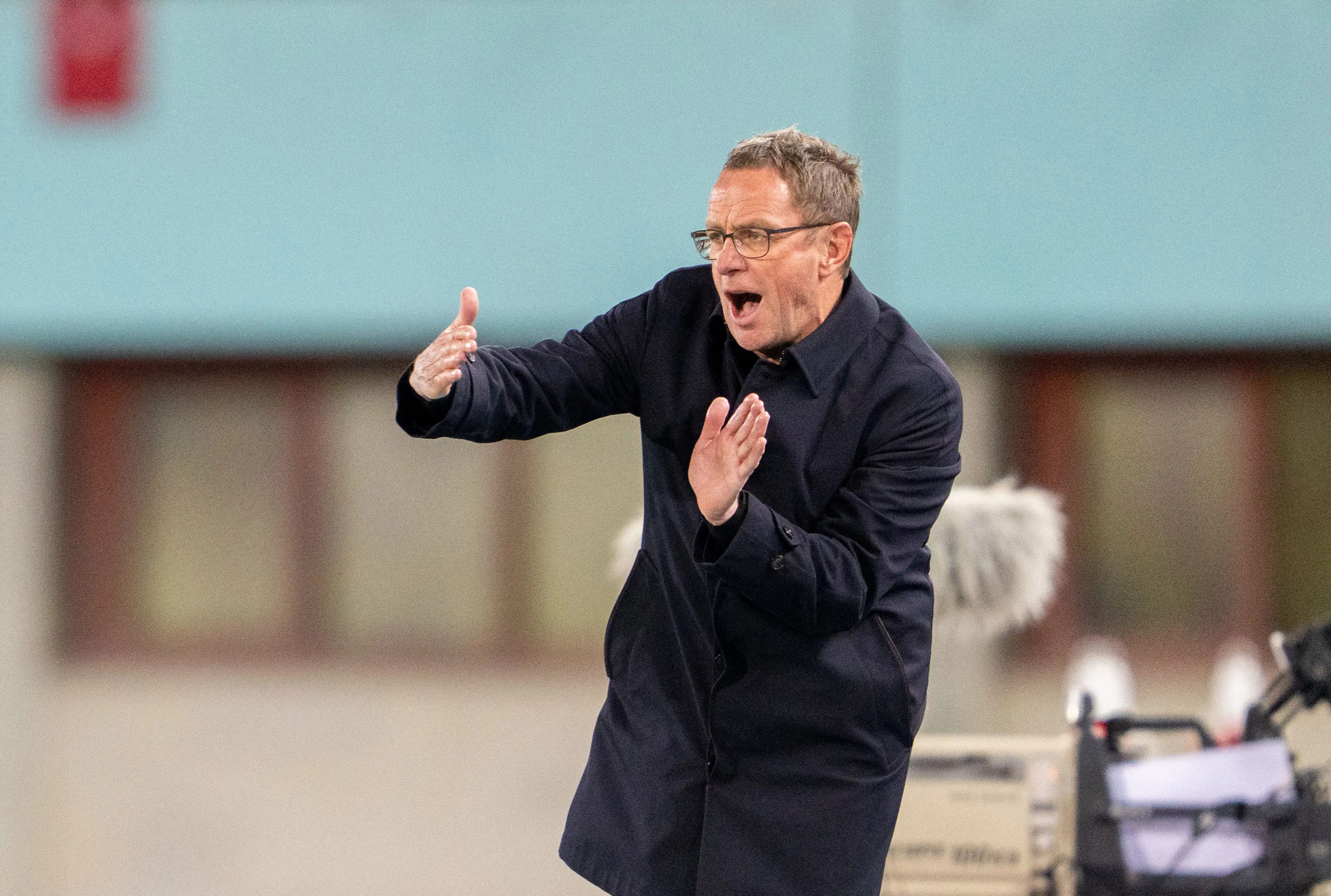 Ralf Rangnick has lost just one of his 14 games in charge of Austria (Image: Getty)