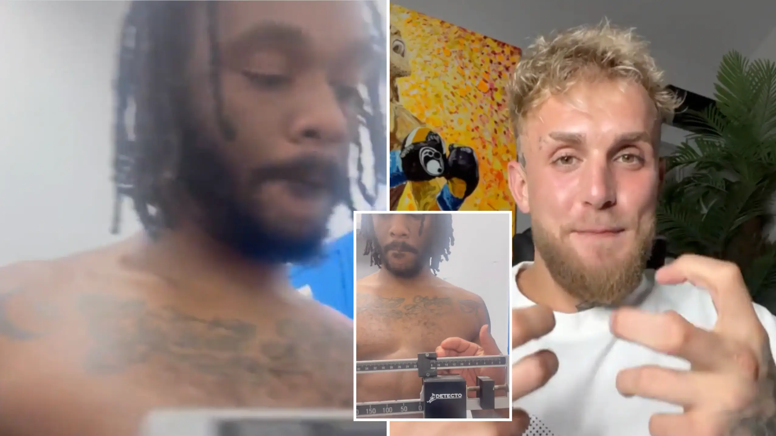 @bjfloresboxing/Twitter & Jake Paul/Twitter