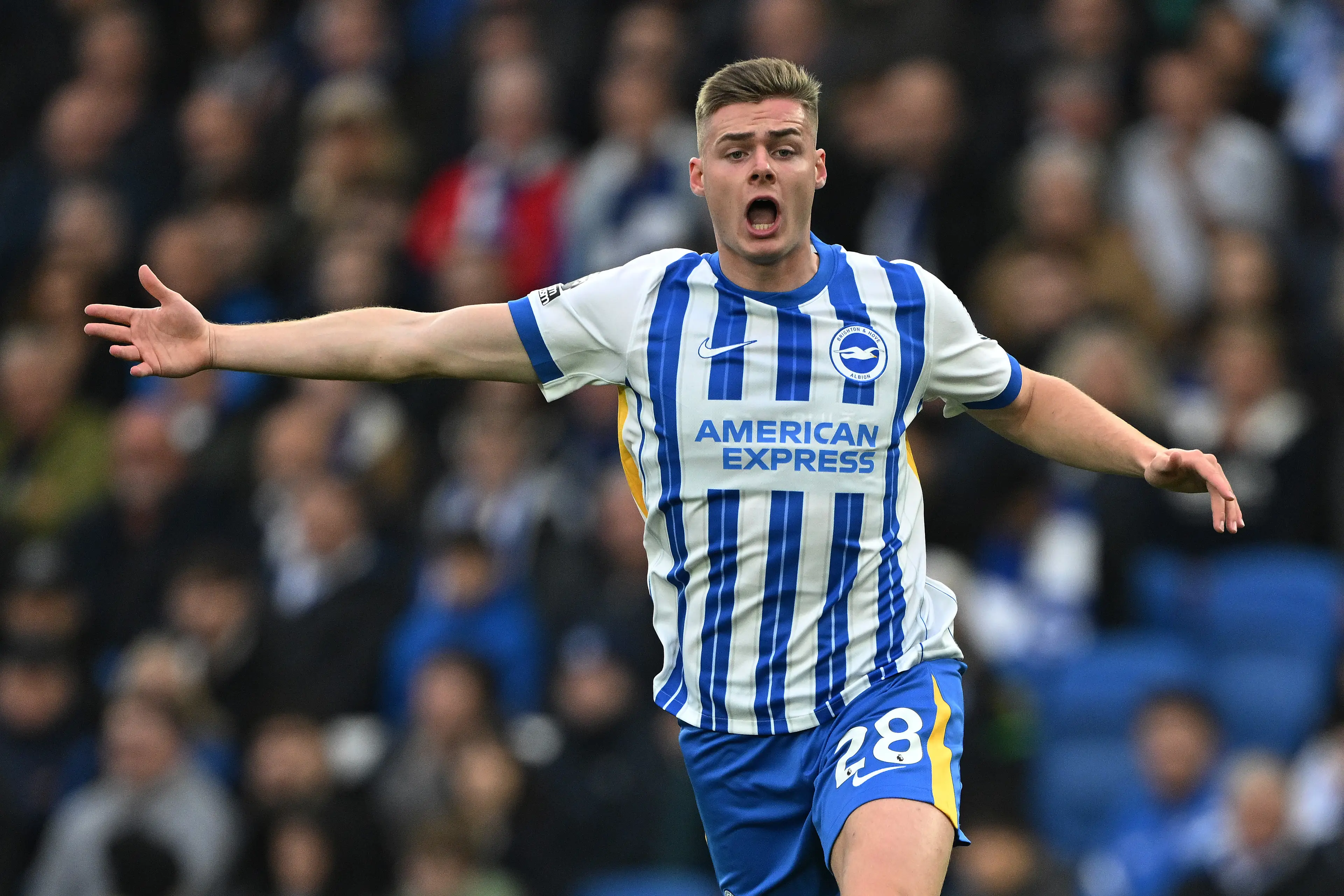 Brighton forward Evan Ferguson. (Image: Getty)