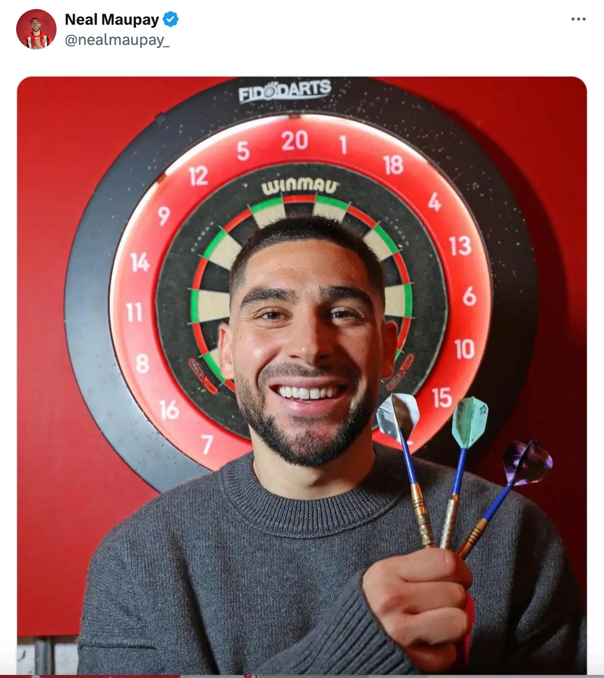 Image: X/@nealmaupay