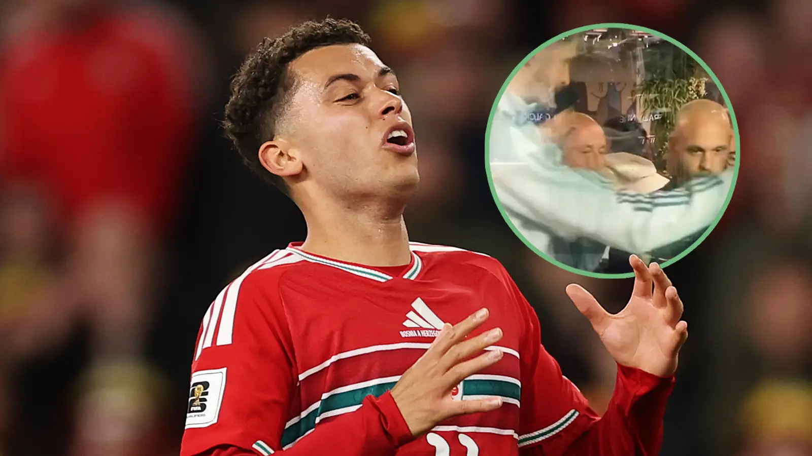 Getty Images - X/@BosniaNTBall