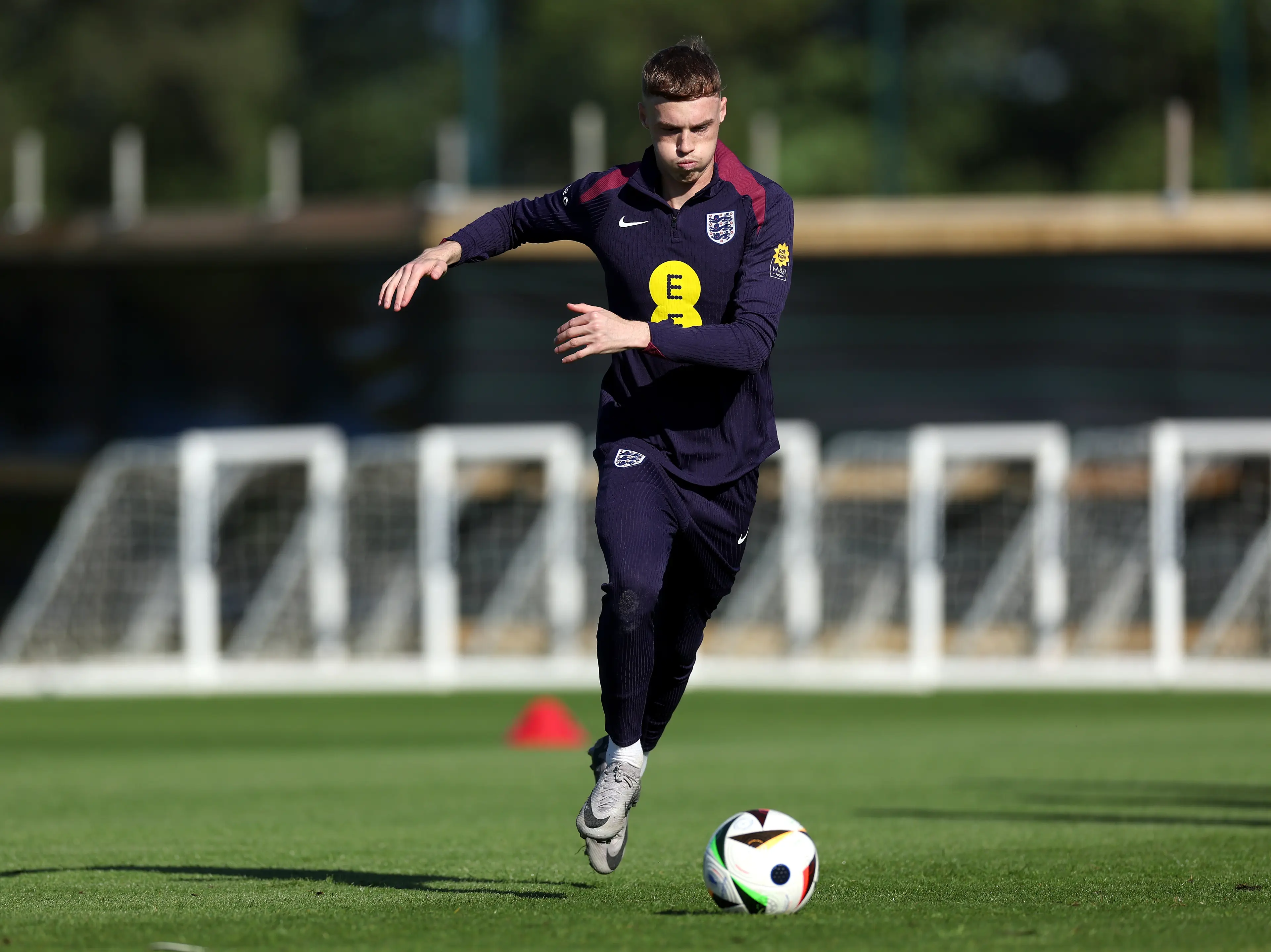 Palmer was named in England's provisional 33-man squad (Getty)