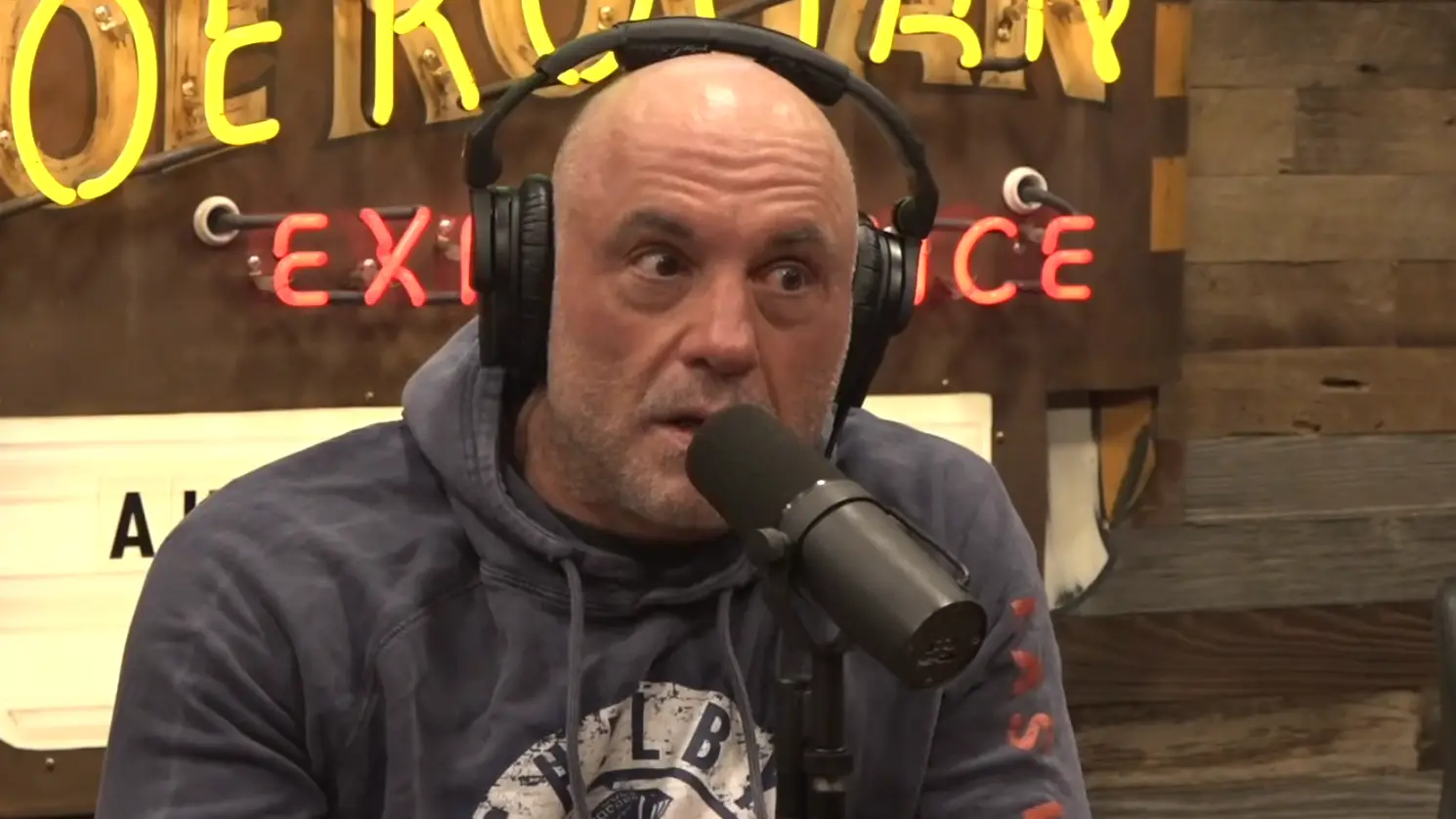 Joe Rogan Experience 
