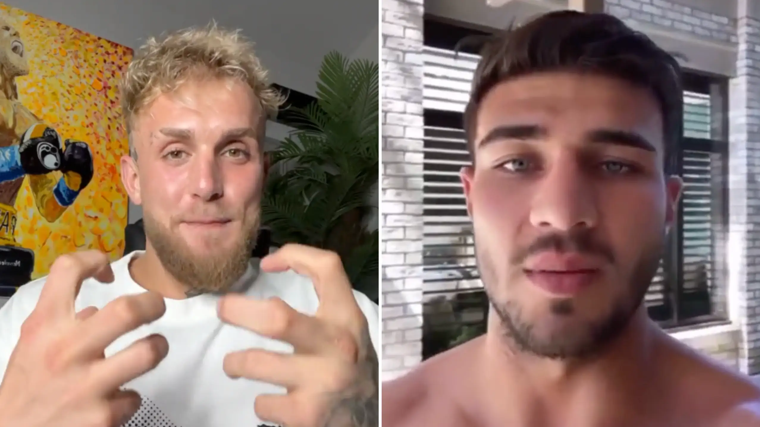 Jake Paul/Instagram & Tommy Fury/Instagram