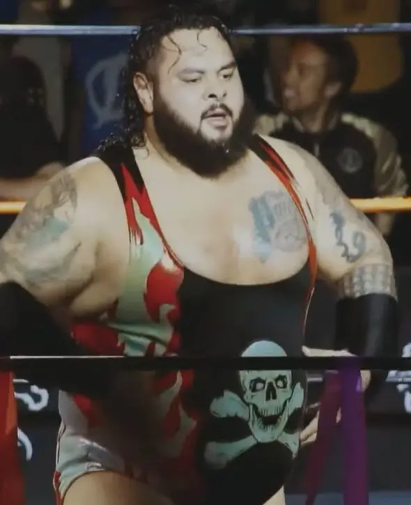 How Bronson Reed used to look in WWE. Image: WWE