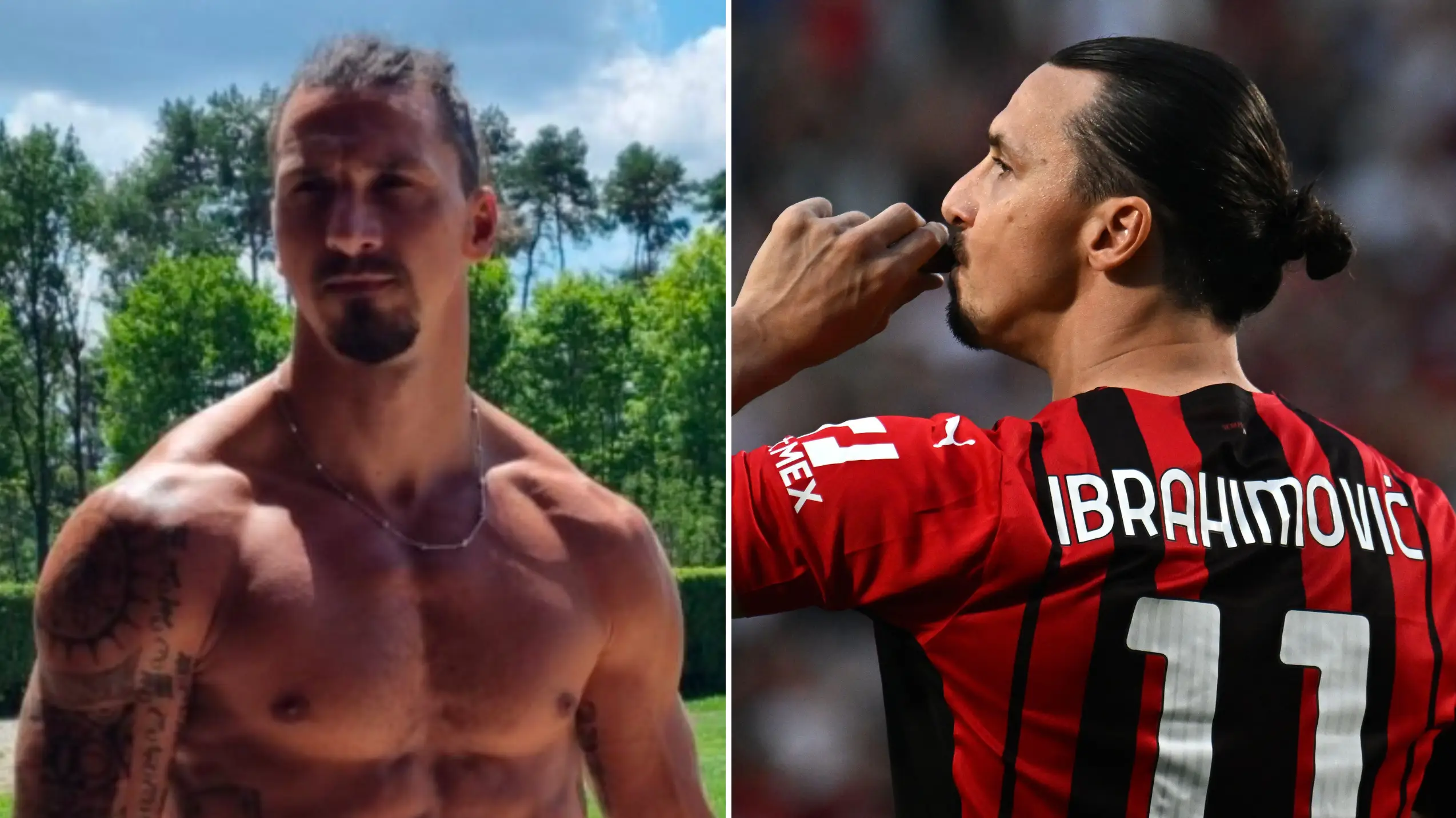 Zlatan Ibrahimovic/Twitter & Alamy