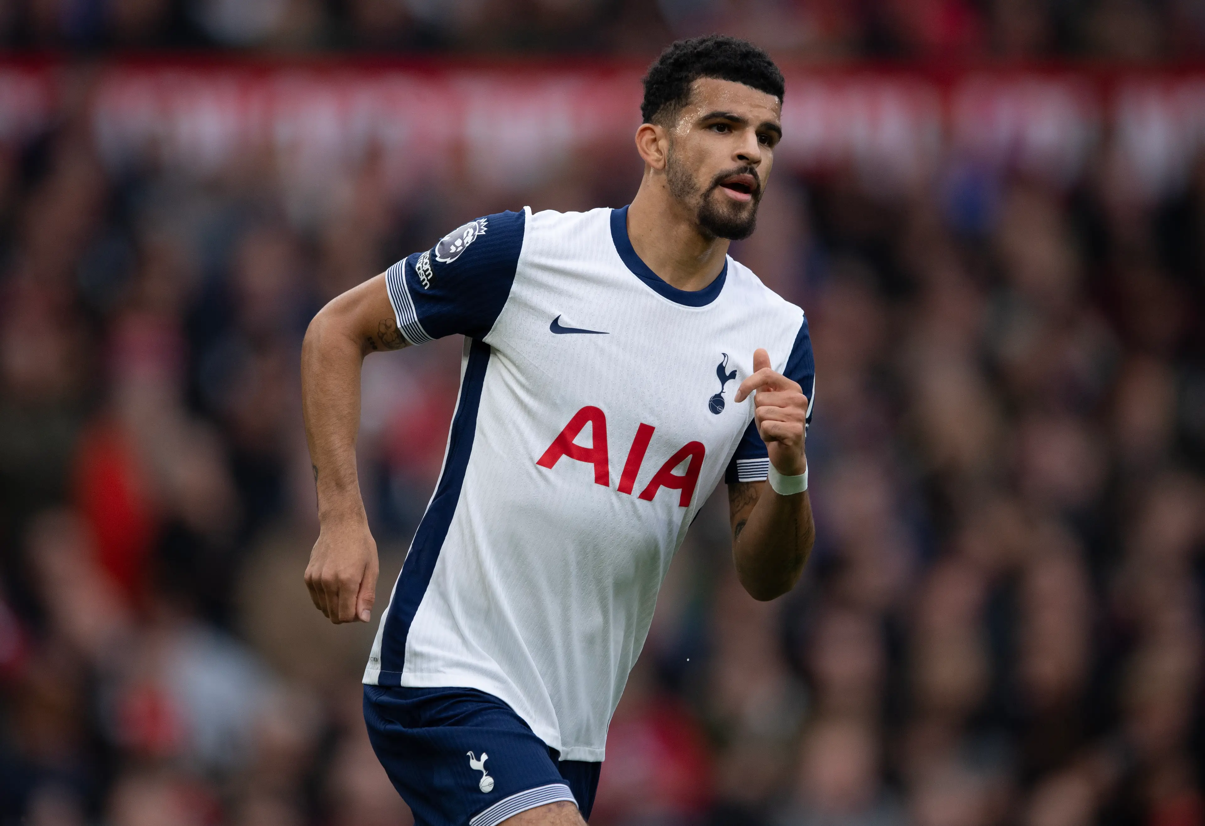 Dominic Solanke in action for Tottenham. Image: Getty 