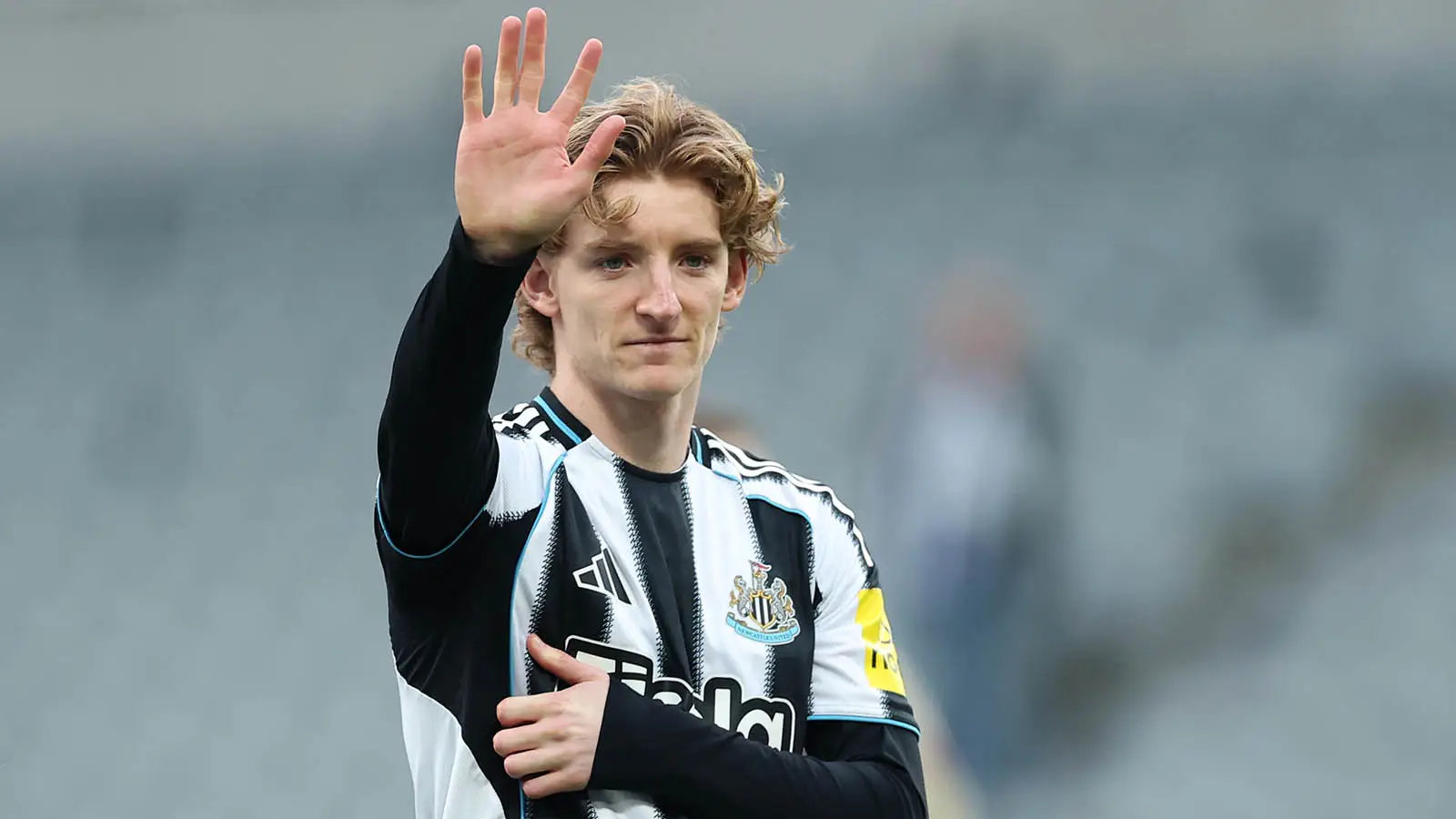 Anthony Gordon didn't play in any of Newcastle's final four Premier League matches (Image: Getty)