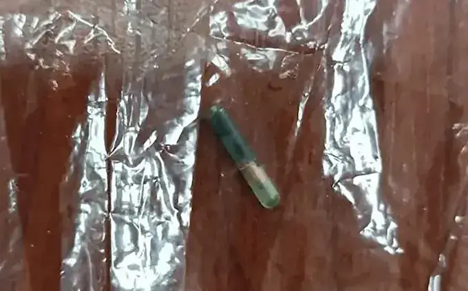 Smart Latch's microchip was discovered in the dish. (Image: Newsflash)