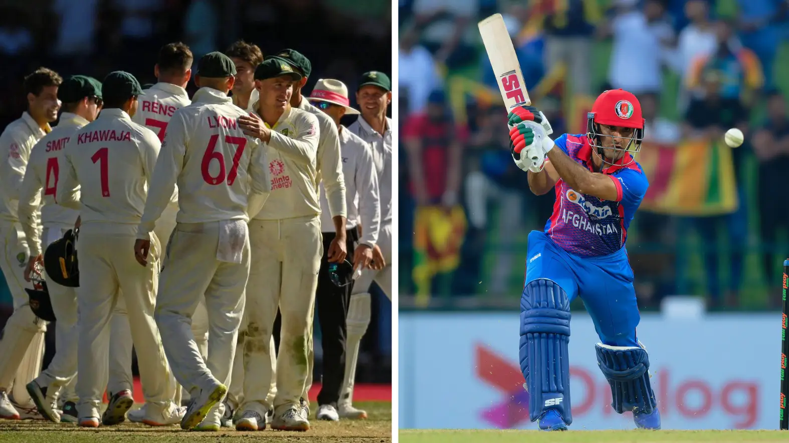 REUTERS / Alamy.  Viraj Kothalawala / Alamy.