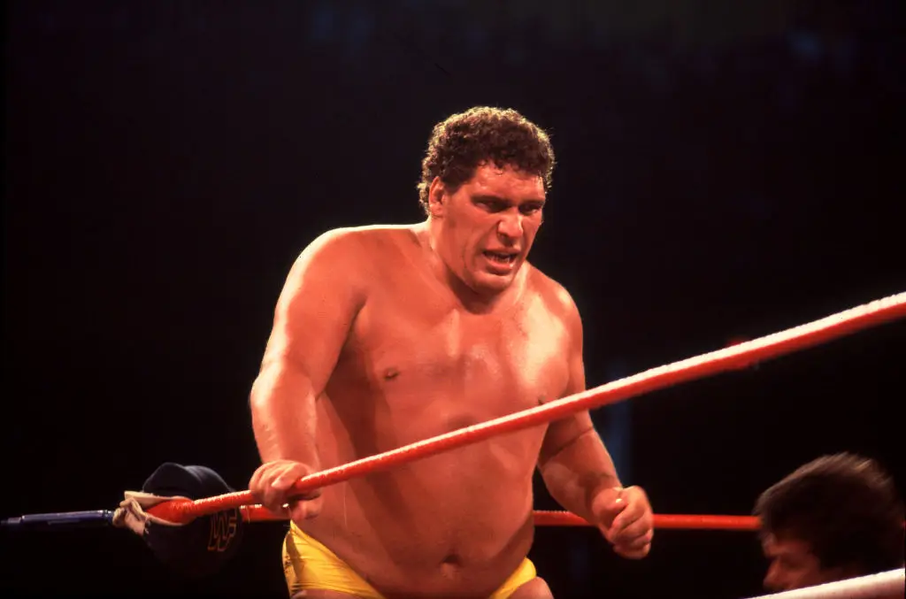 Andre "The Giant" was a French wrestler (Credit:Getty)