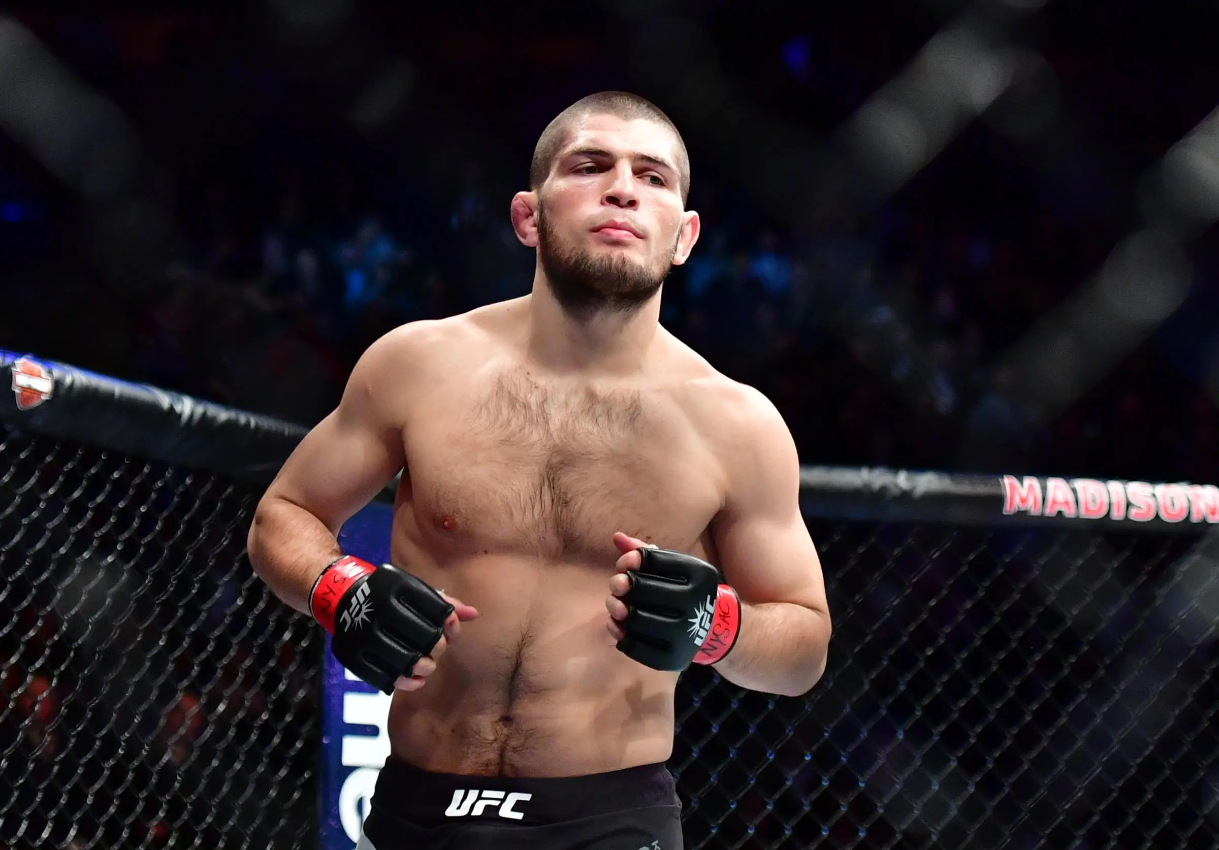 Khabib Nurmagomedov.