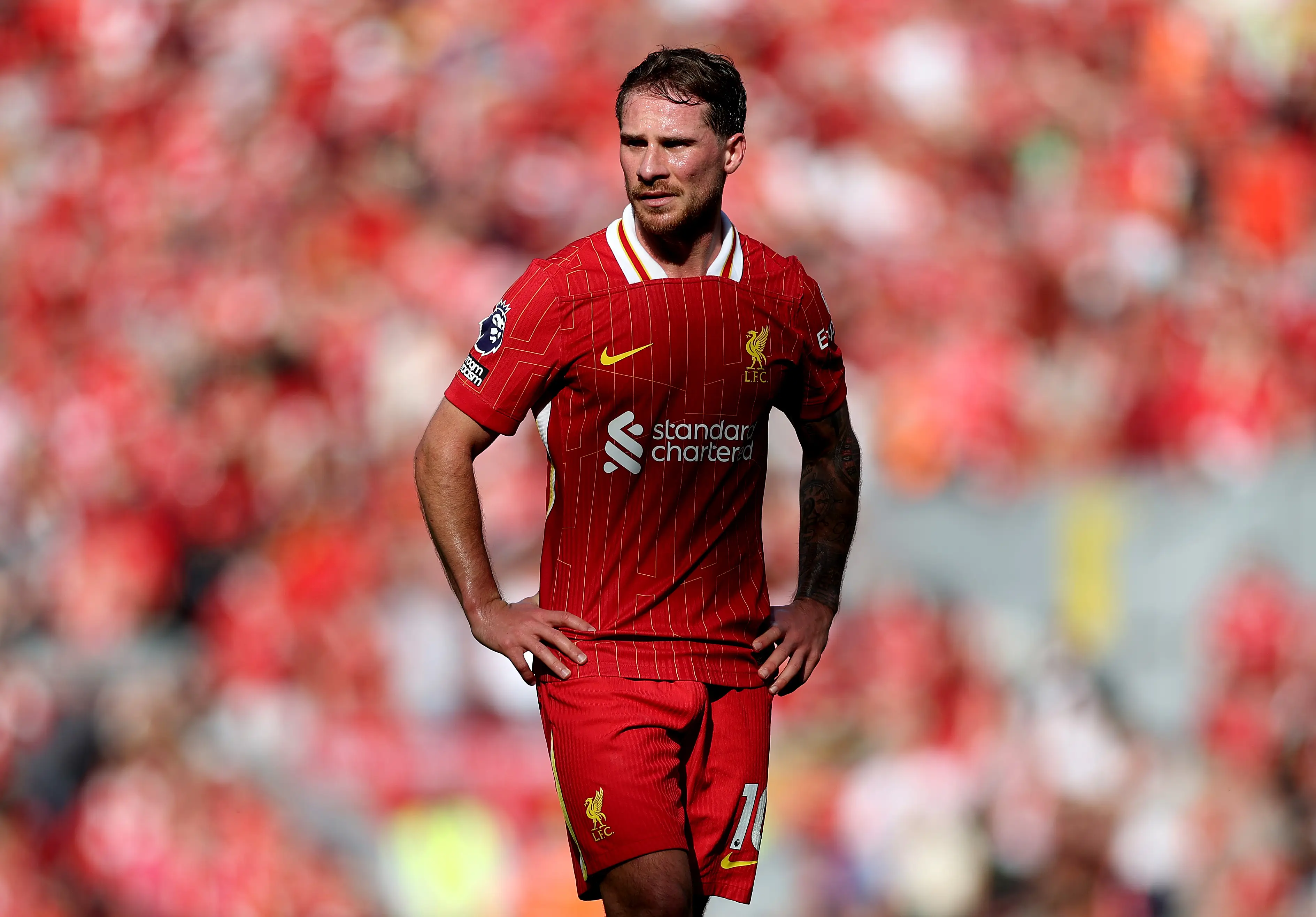 Alexis Mac Allister has been linked with a move away from Liverpool. 